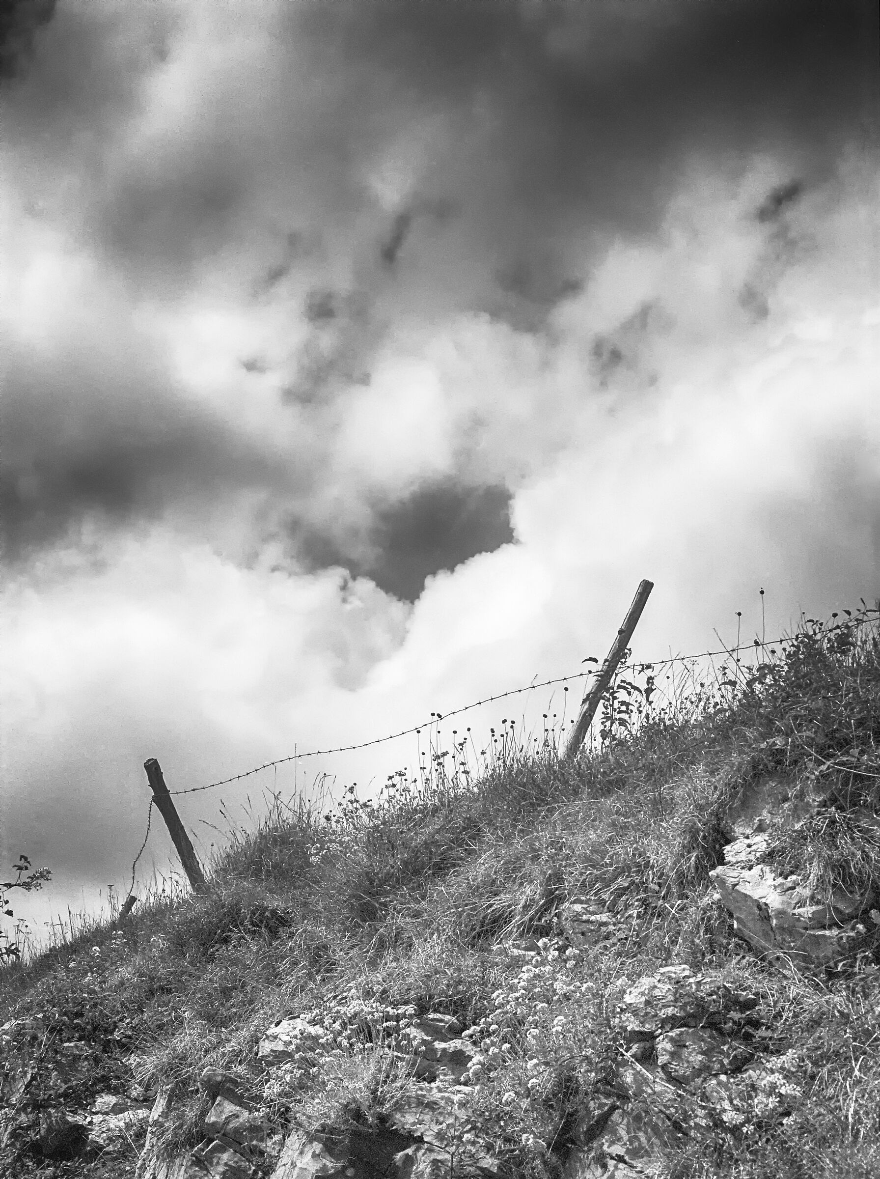 Nuvole, legno e silenzio 10