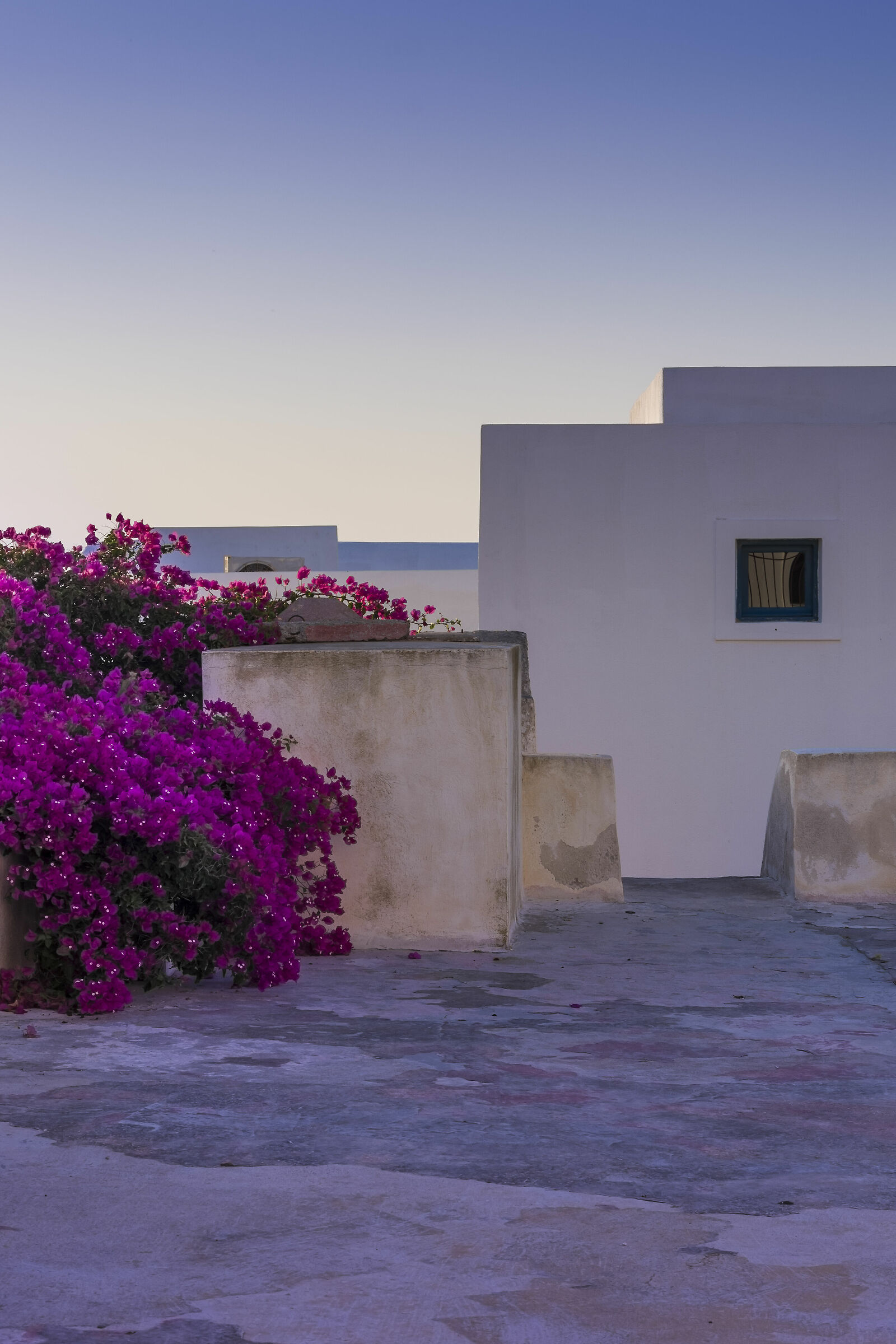 Composizione fucsia e blu