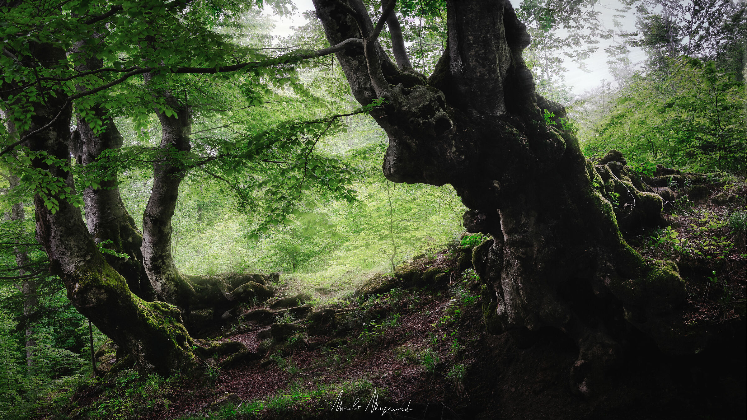 Untitled Photo
