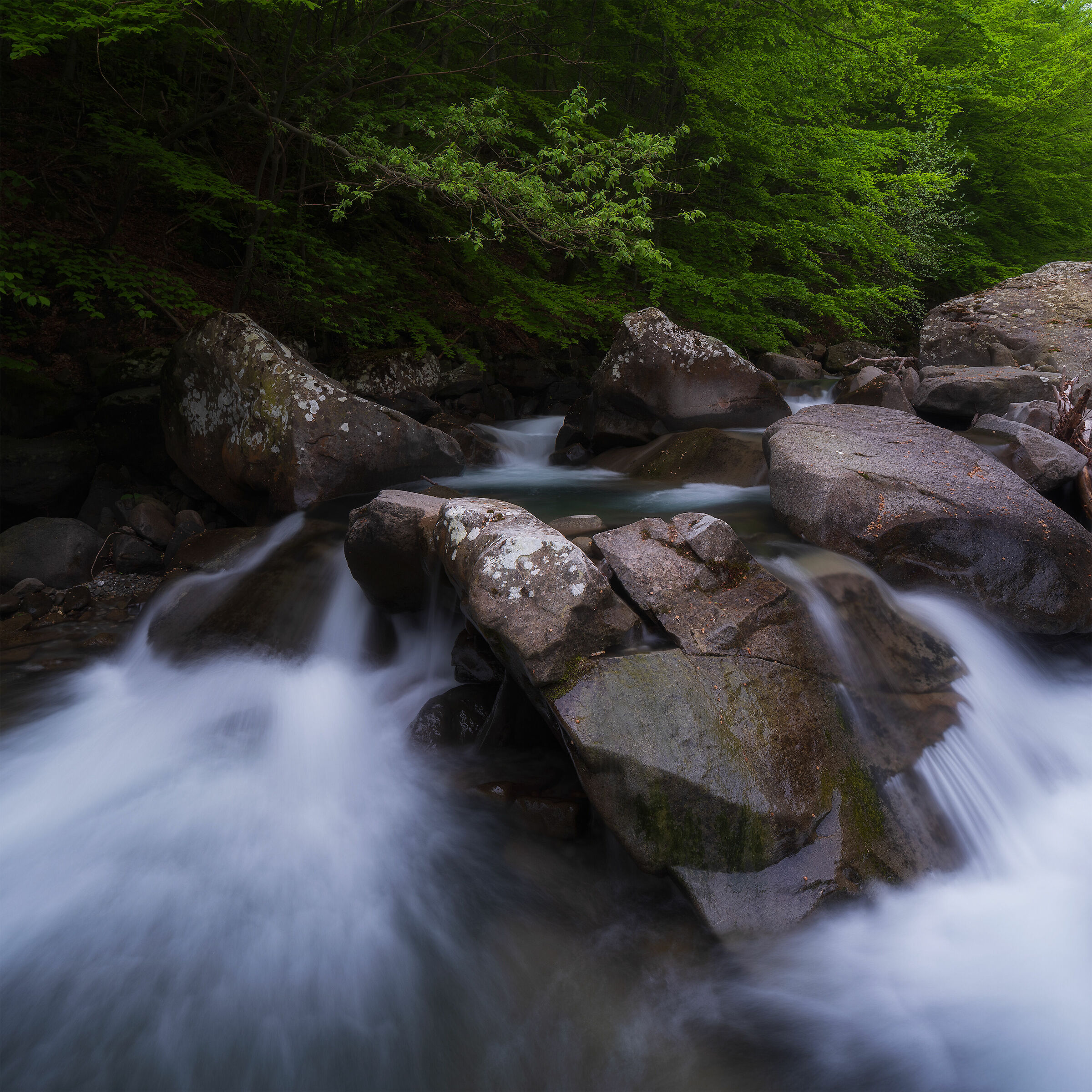 Torrente Dolo