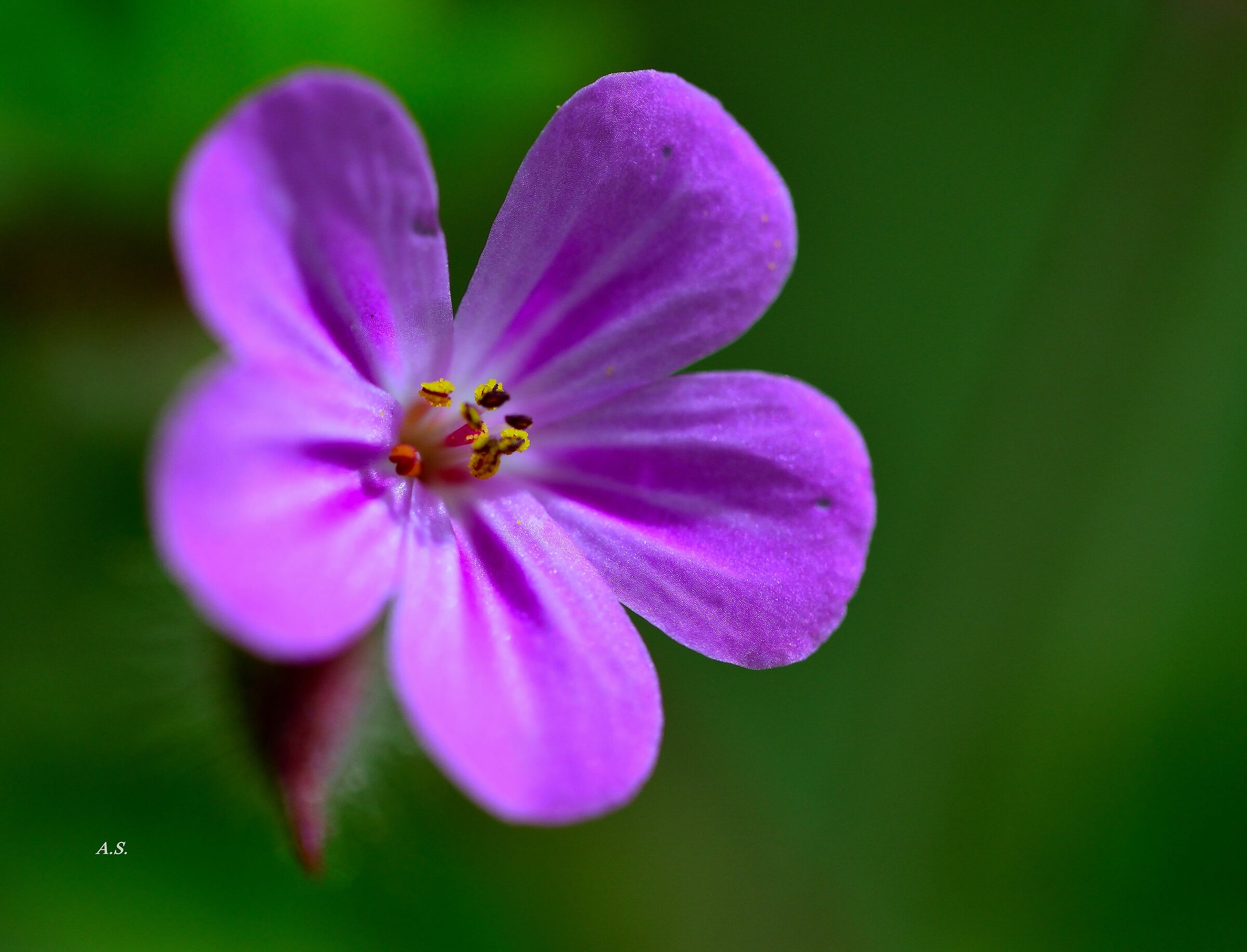 Without makeup without deception Nature