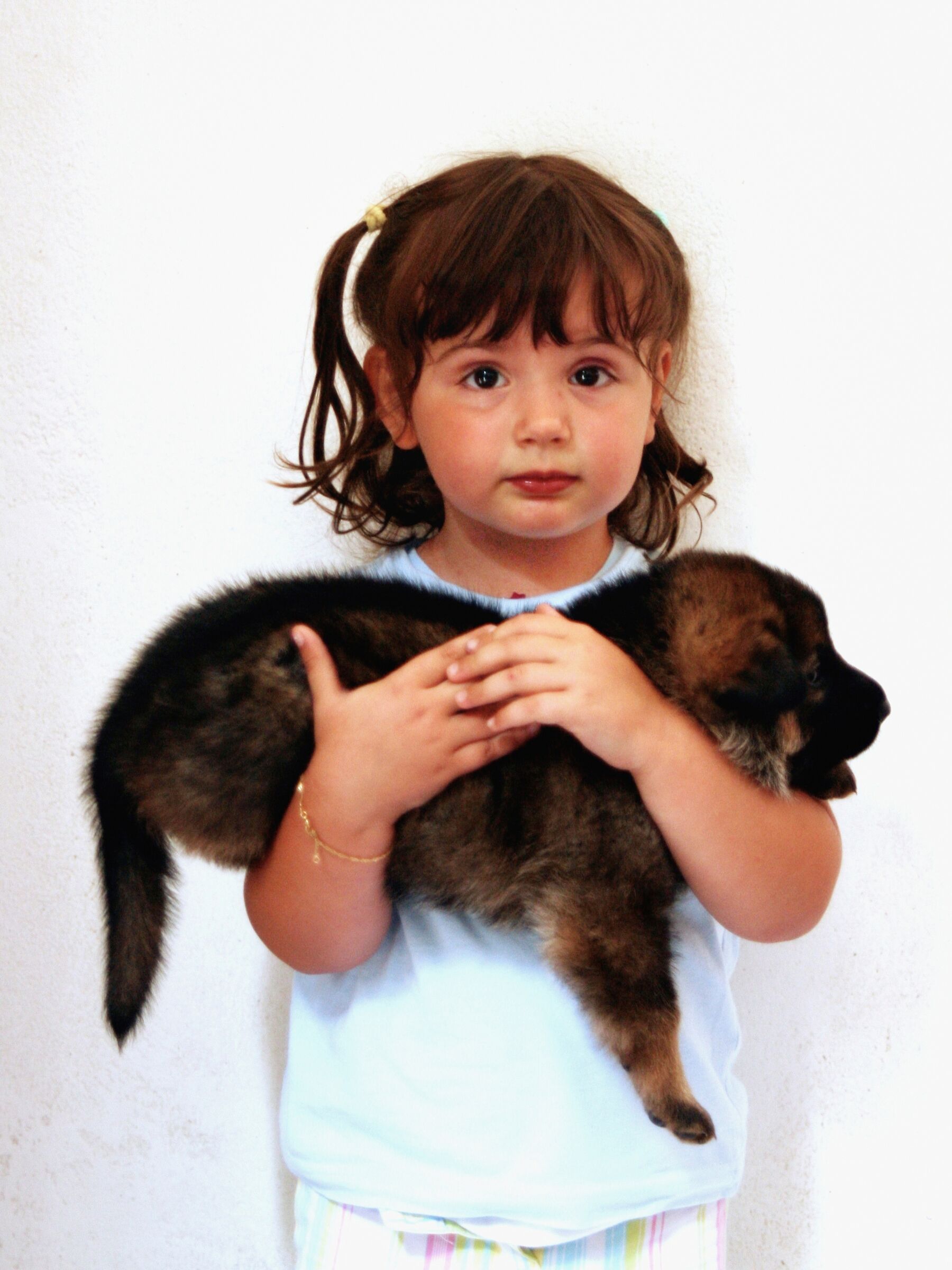 Little girl with puppy