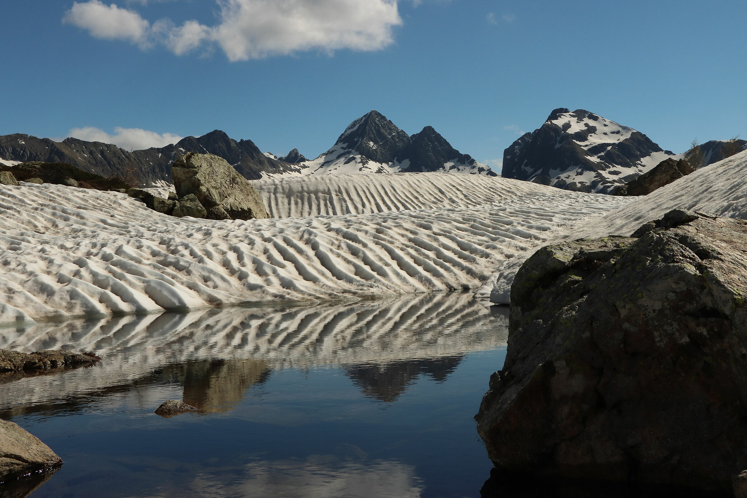 il laghetto inizia a "sbucare"