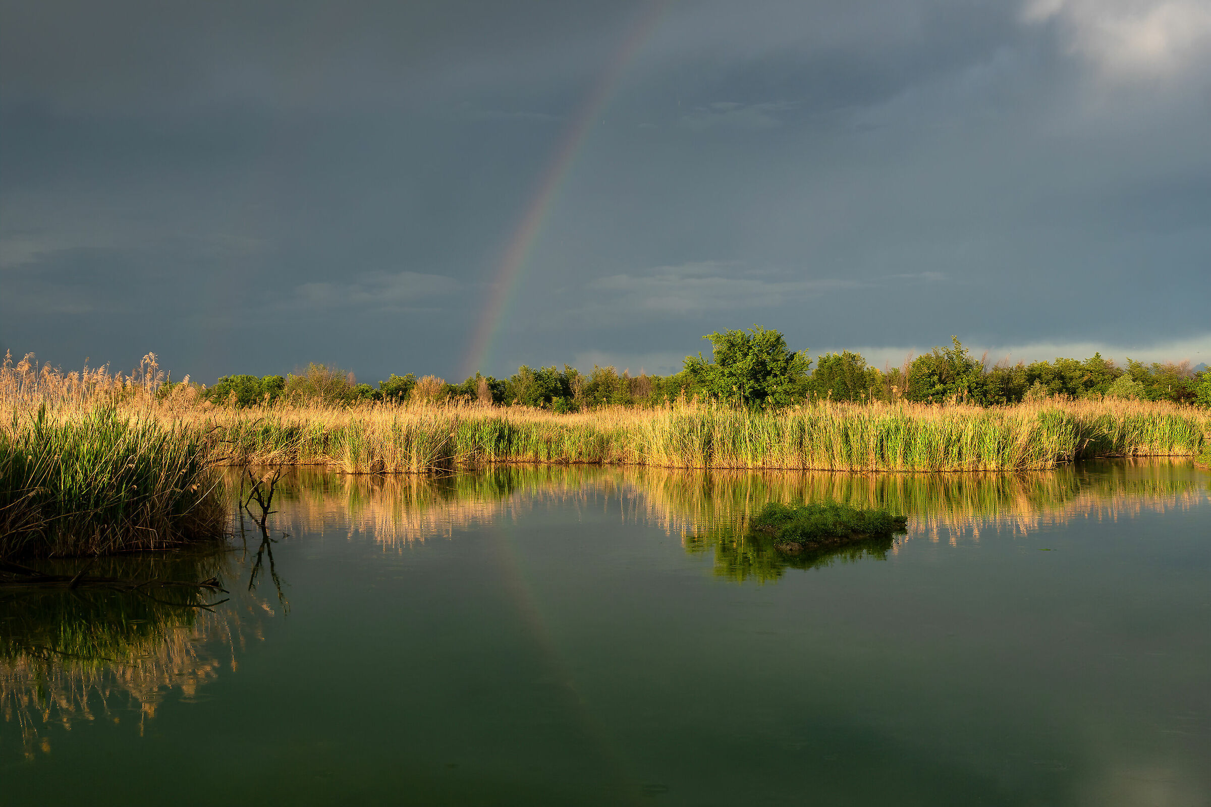 s.i.c. Tivoli-Manzolino