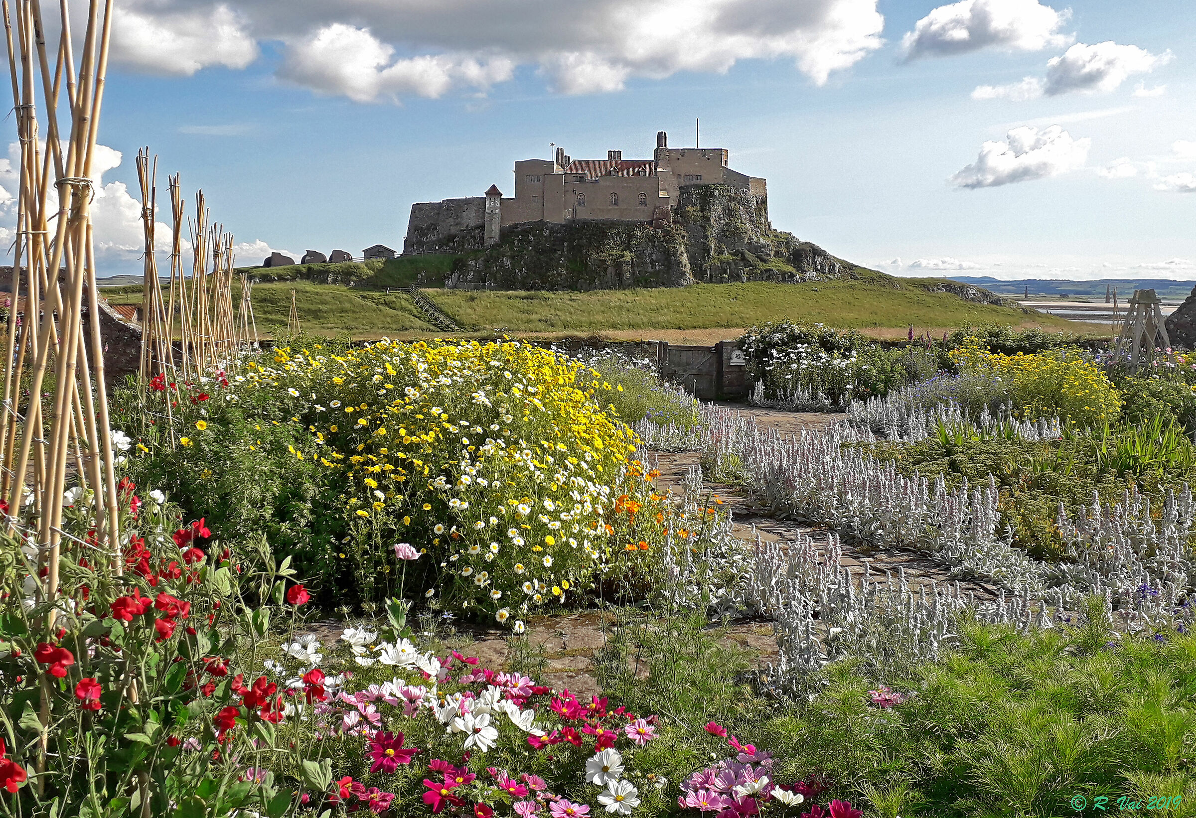 The Garden of Gertrude (Holy Island - Lindisfarne)