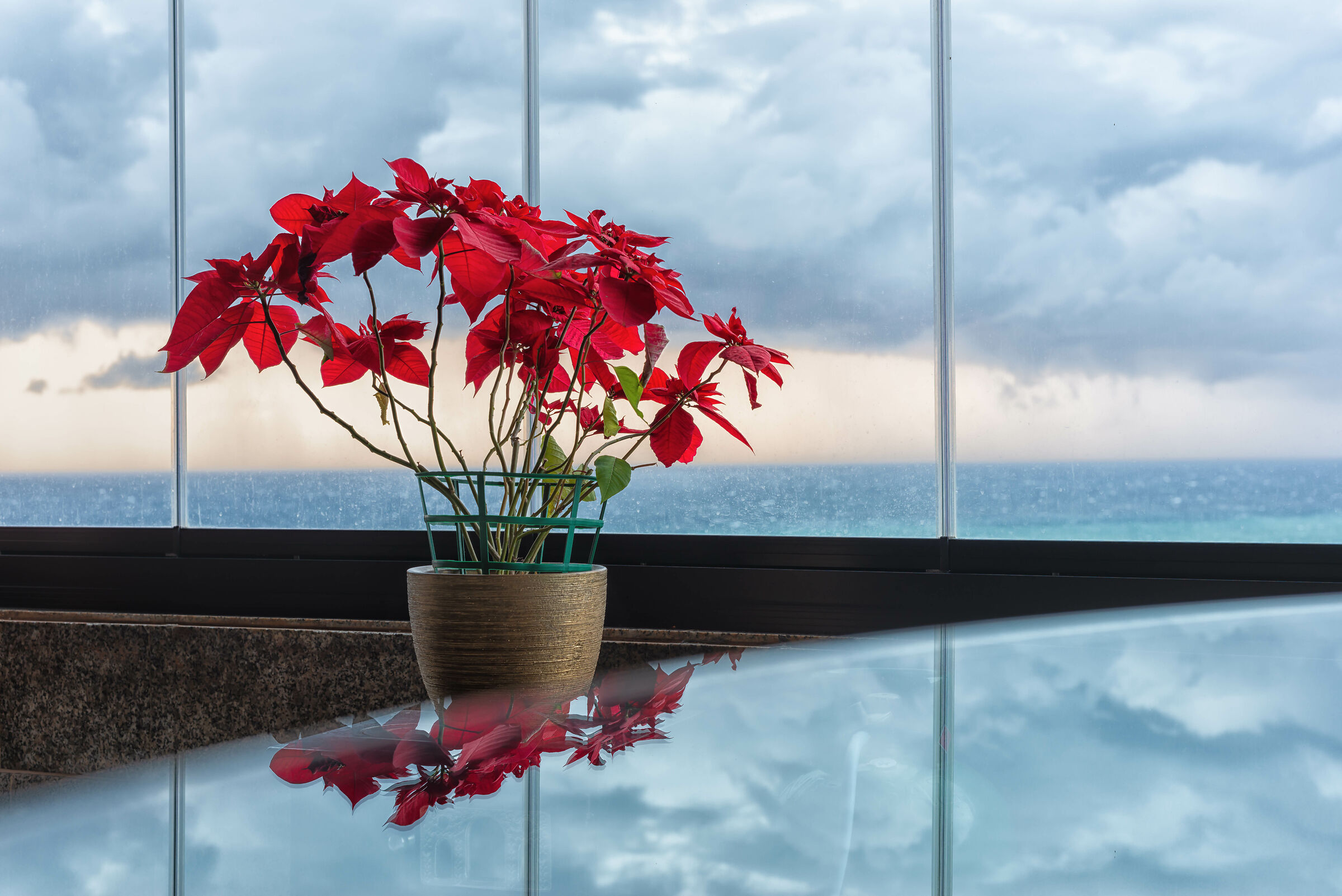 Lockdown In Our Beirut Flat