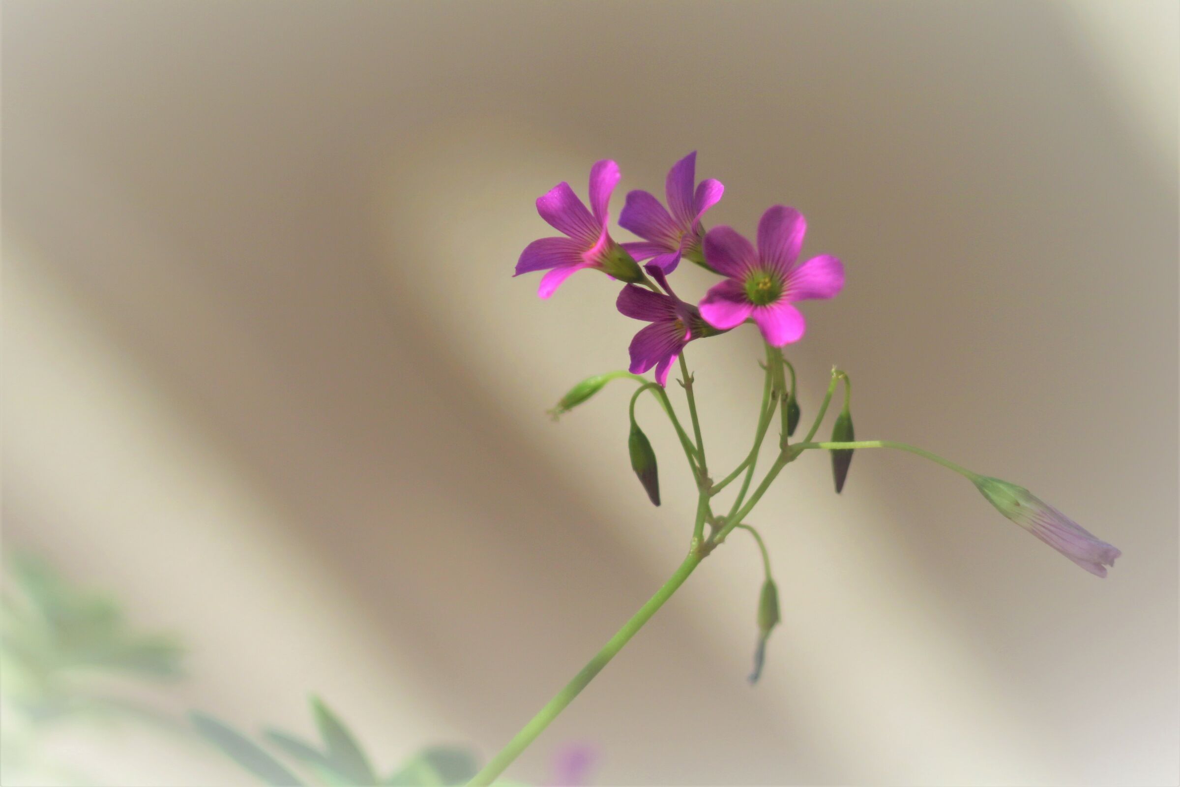 pomeriggio sotto il sole