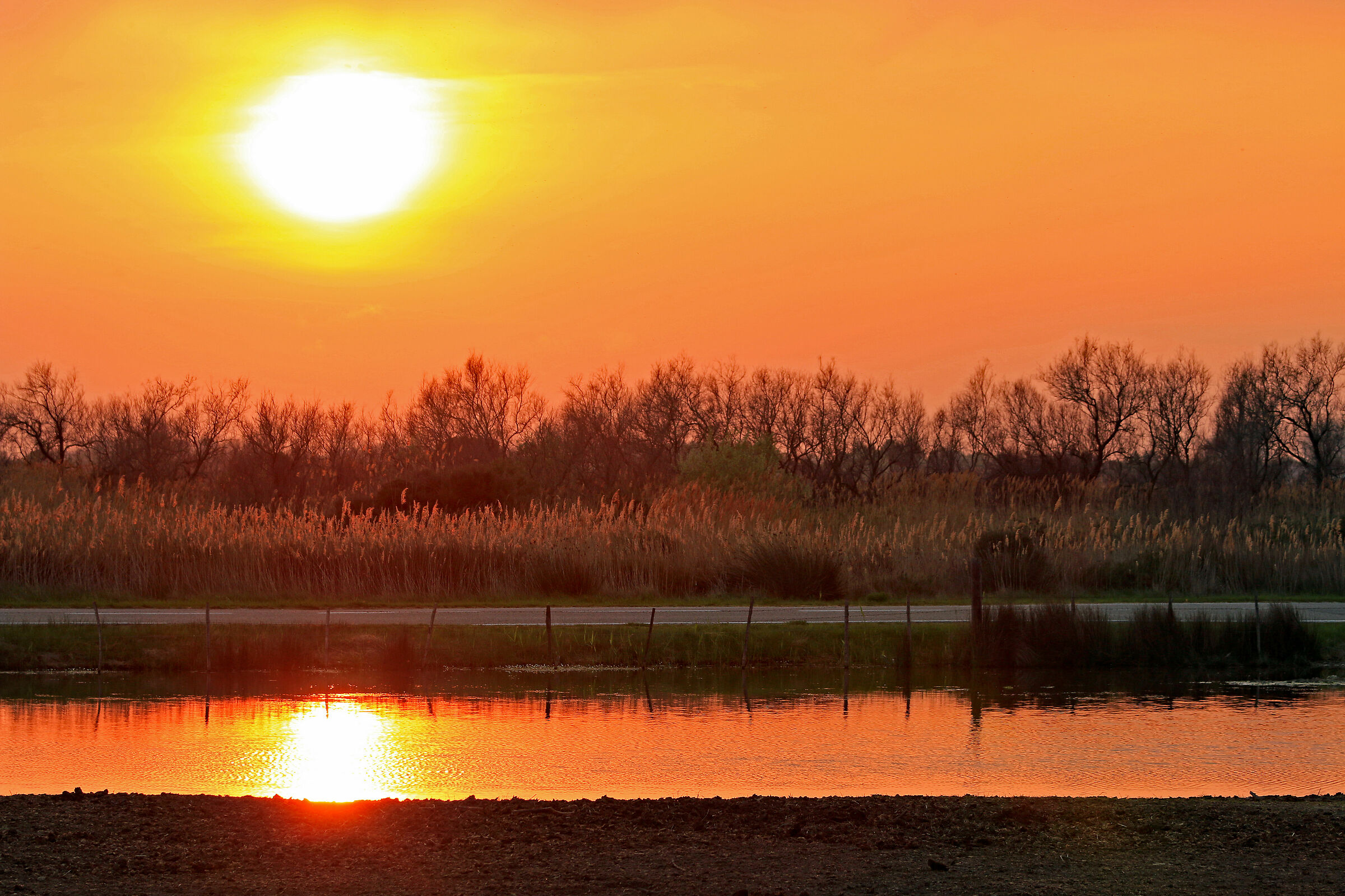 Tramonto in Camargue