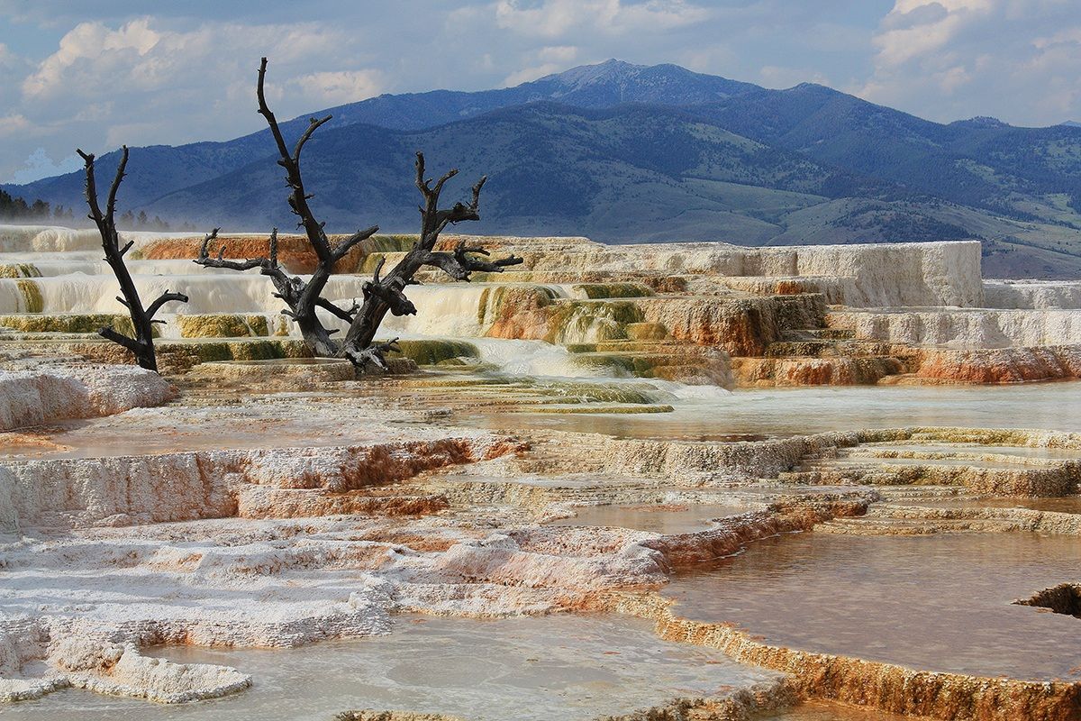 Yellowstone - Mammoth hot spring