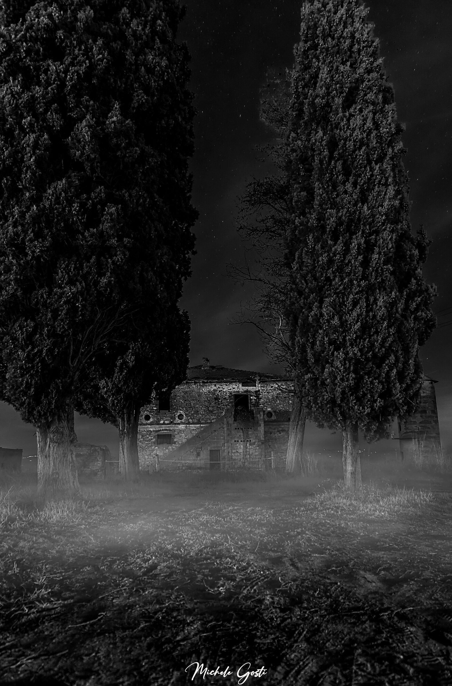 La bellezza dell'abbandono