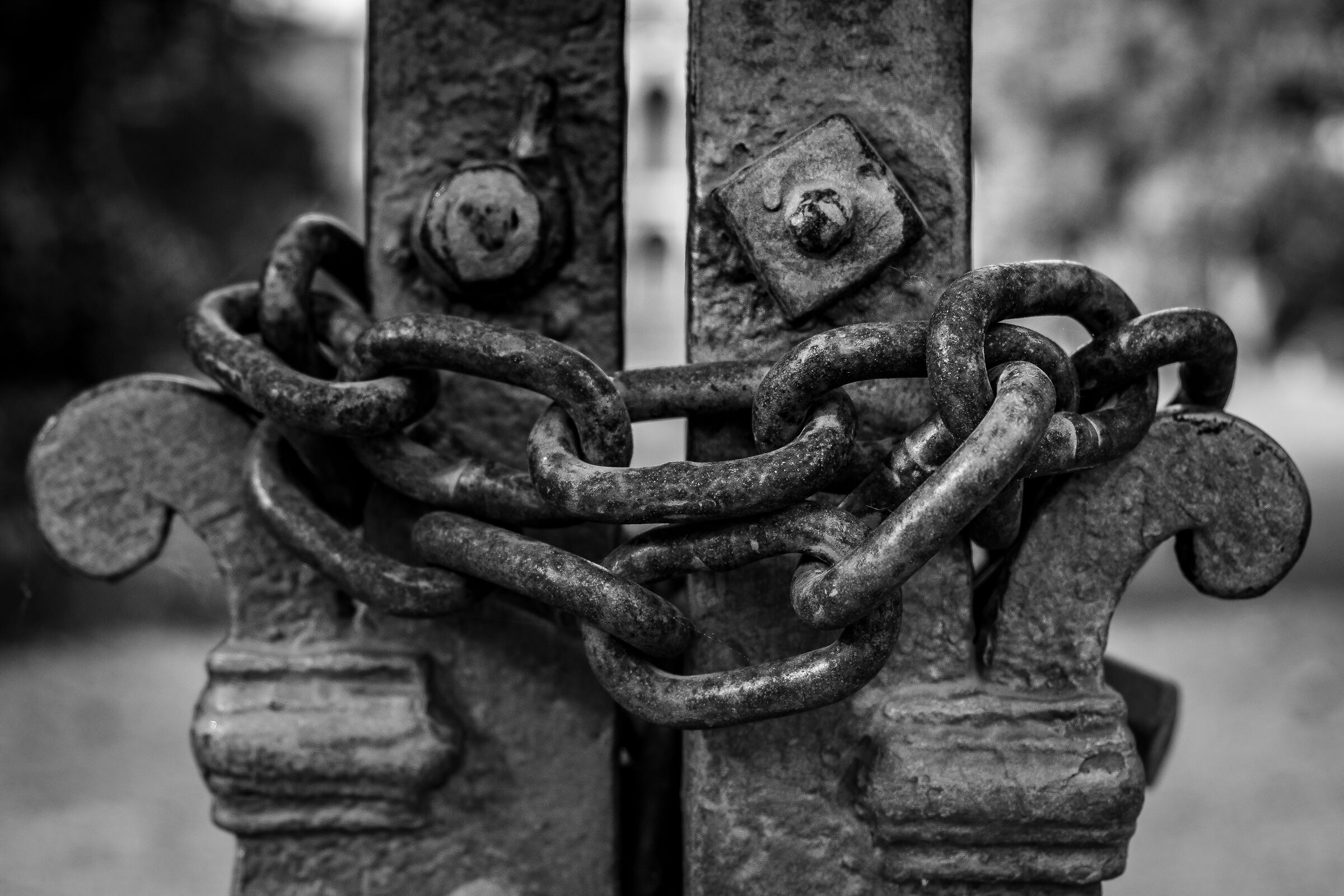 Pressi di Villa Torrigiani, Lucca