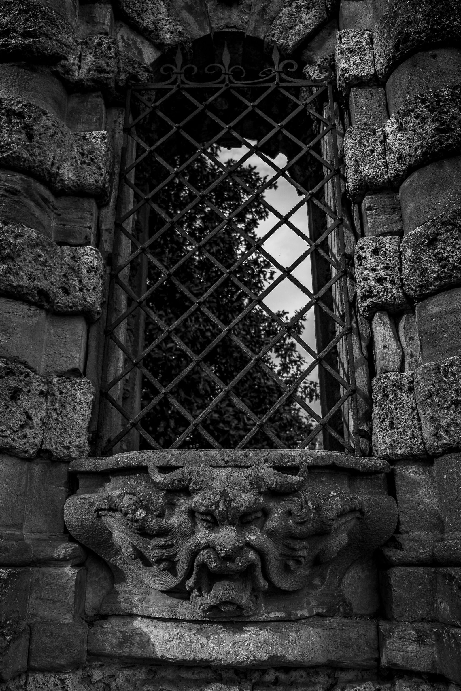 Pressi di Villa Torrigiani, Lucca