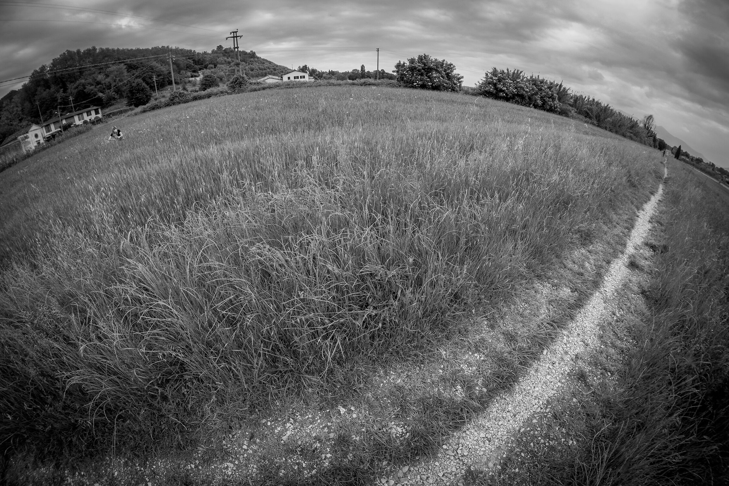 Test 7artisans 7.5mm fisheye