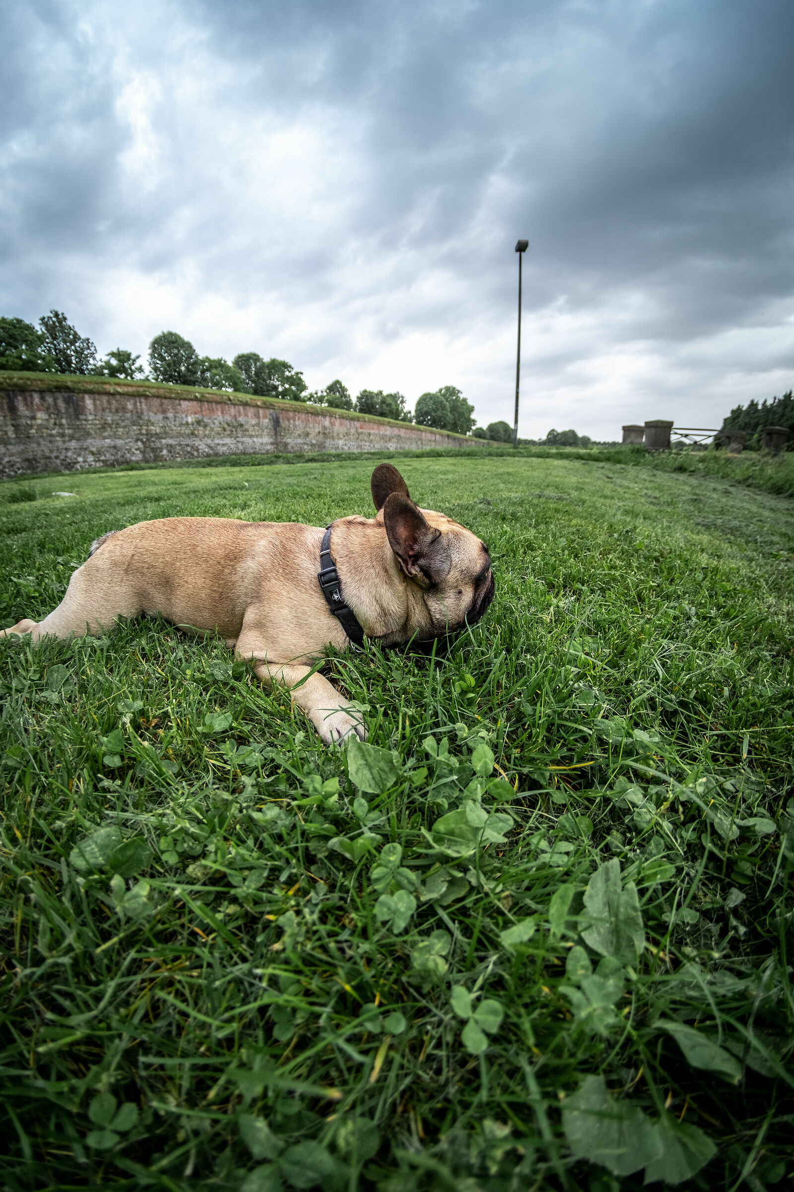 Test 7artisans 7.5mm fisheye