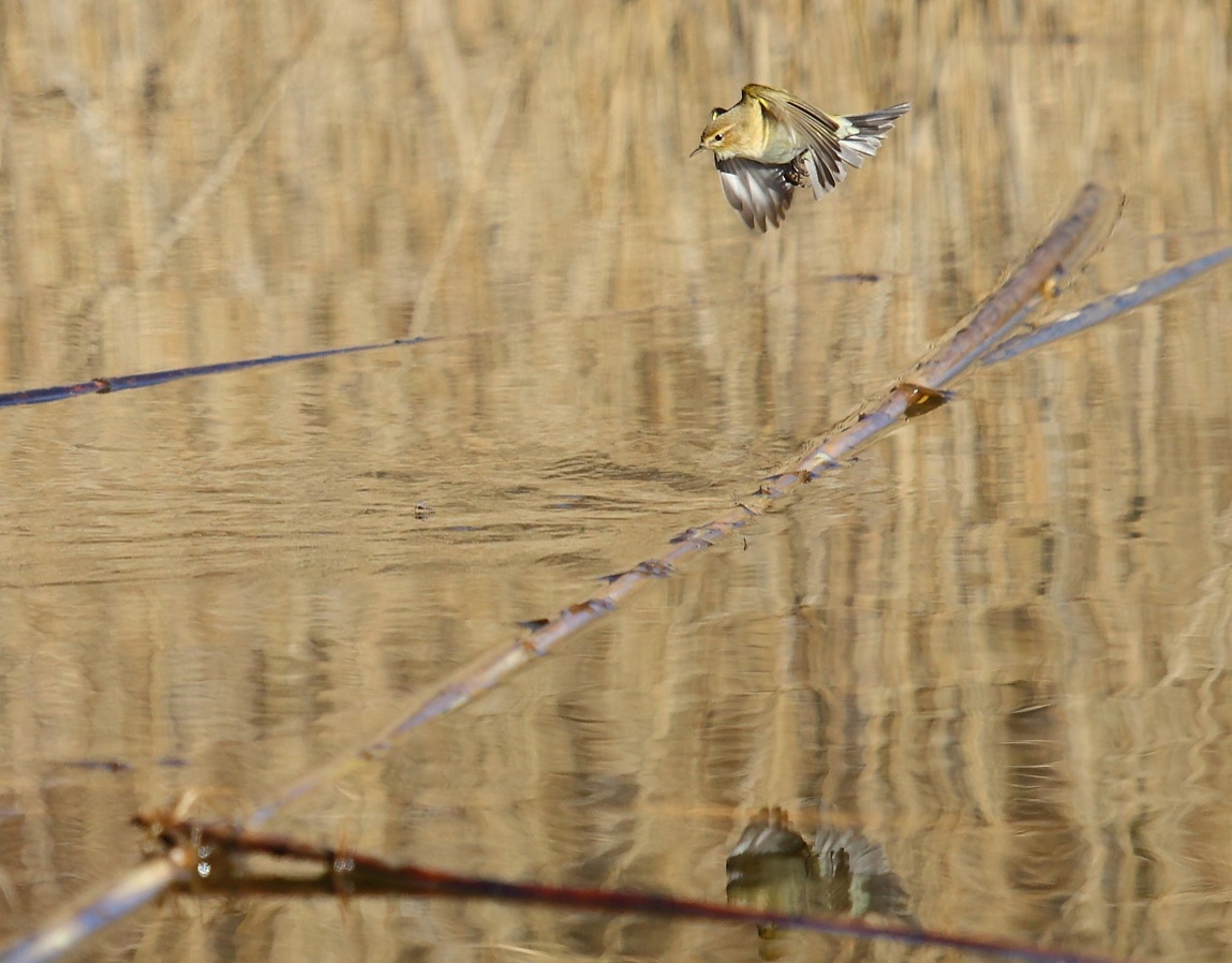 ritaglio lui piccolo