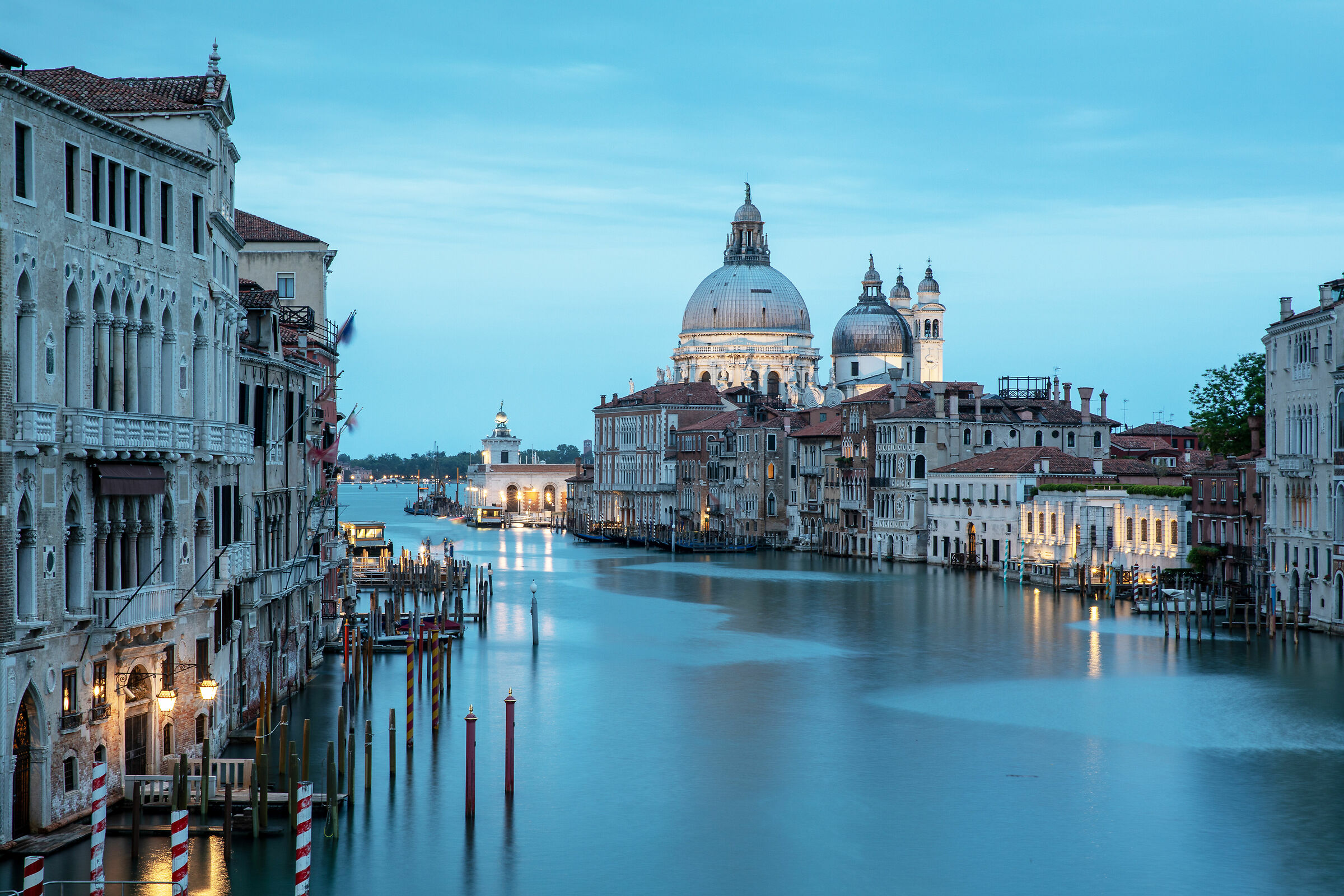 Immobile and silent wait for the night to envelop you