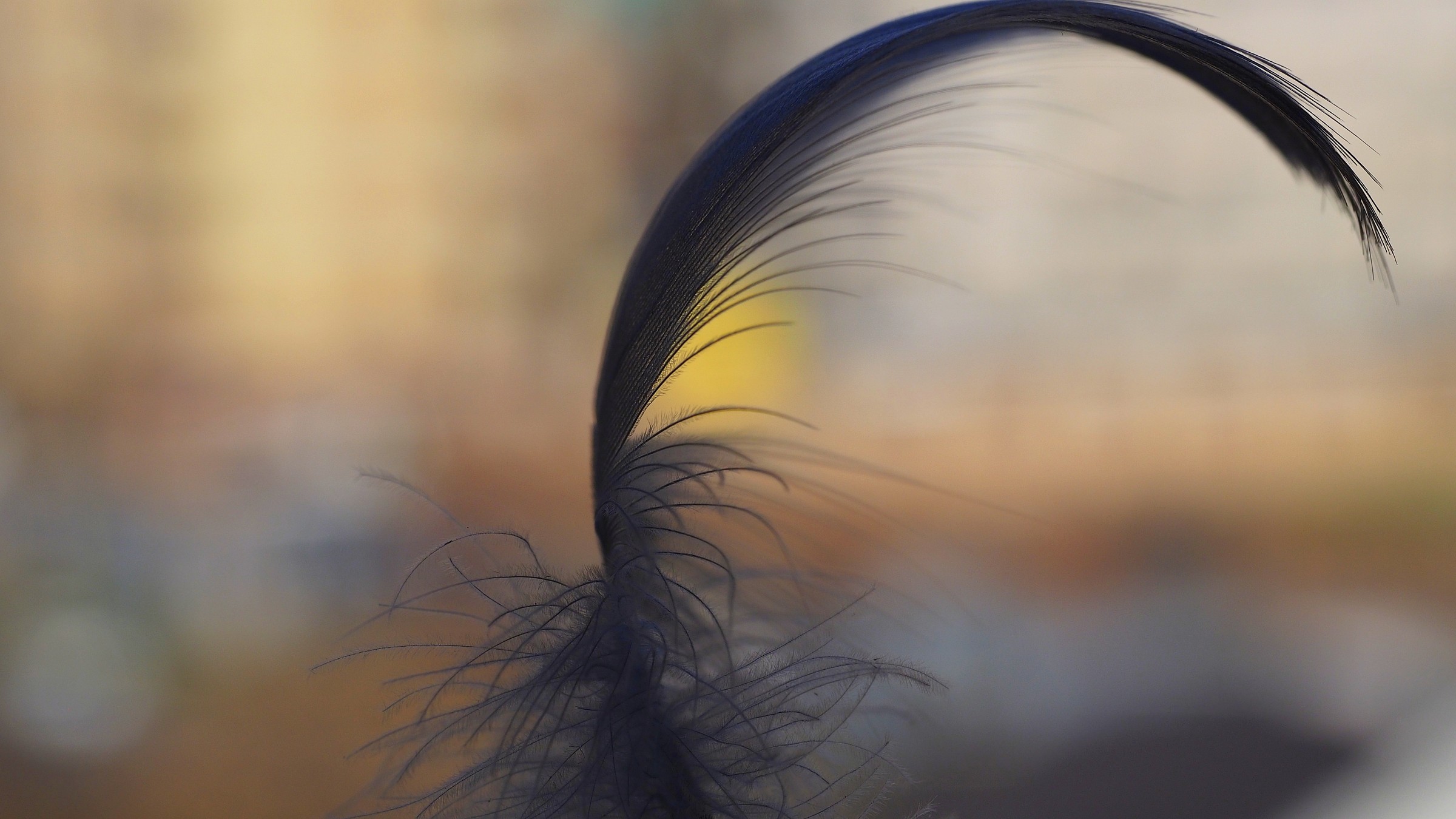 impalpable light at sunset