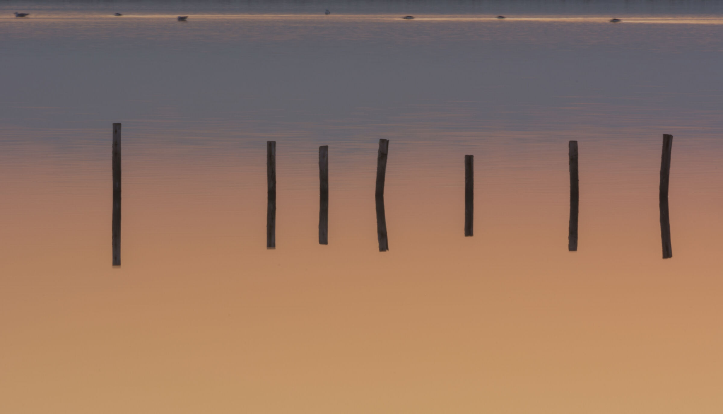 Simmetrie nelle saline