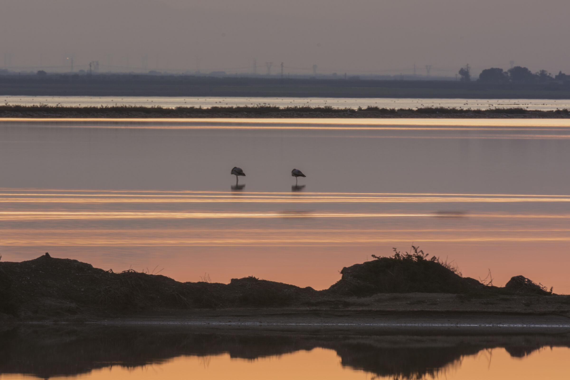 Waiting for a new day