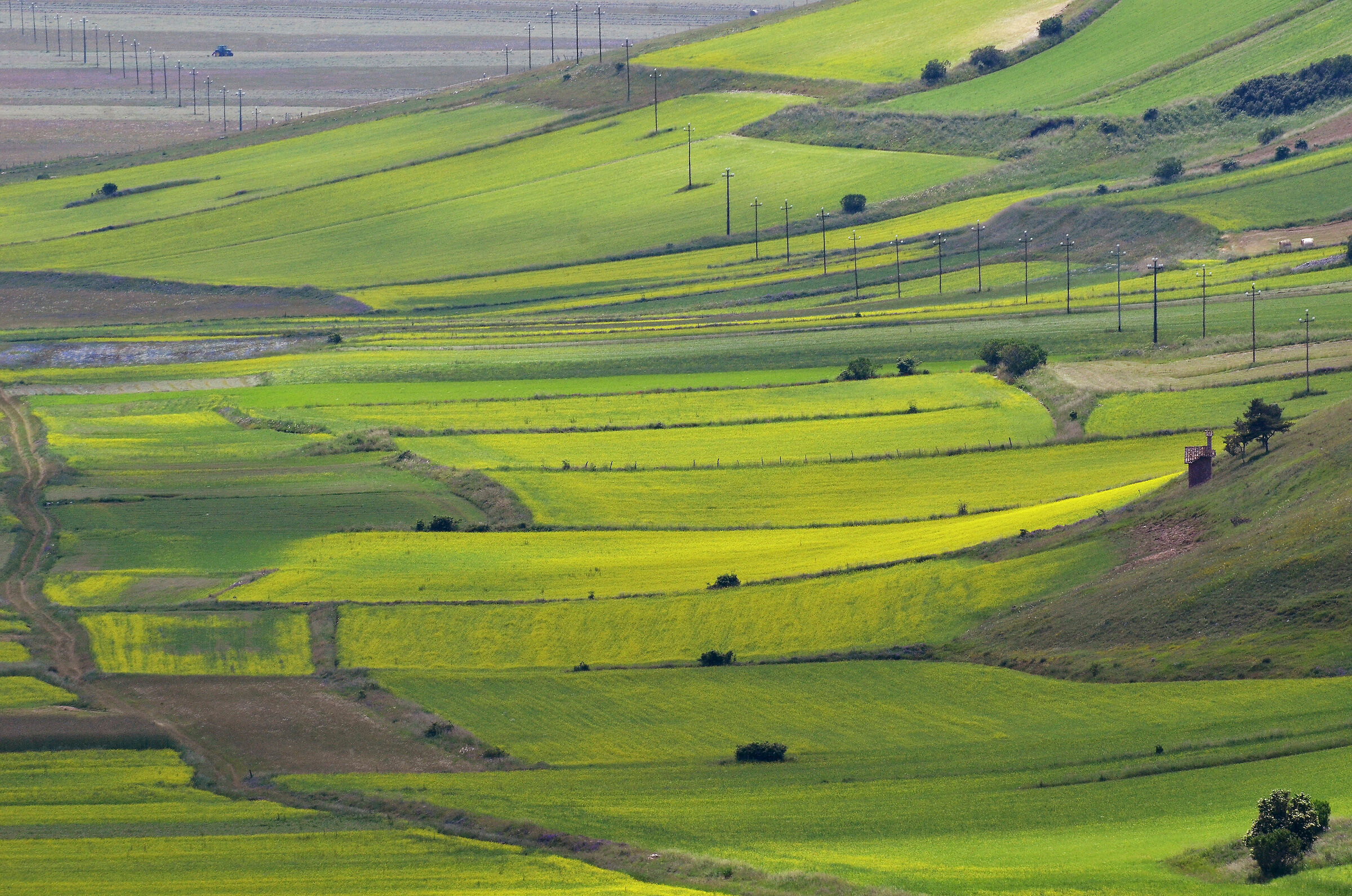 la piana di Castelluccio