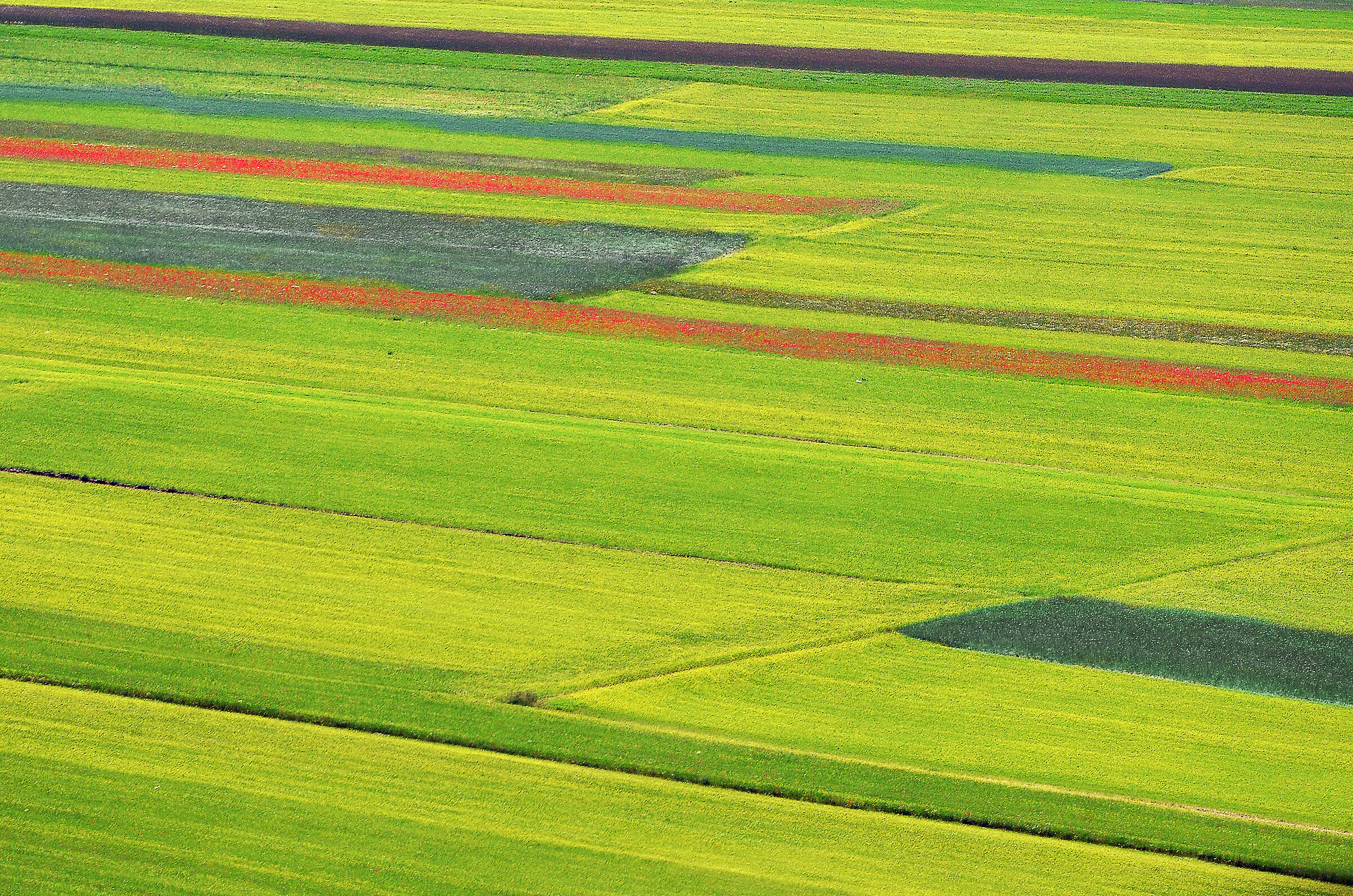 i colori di Castelluccio