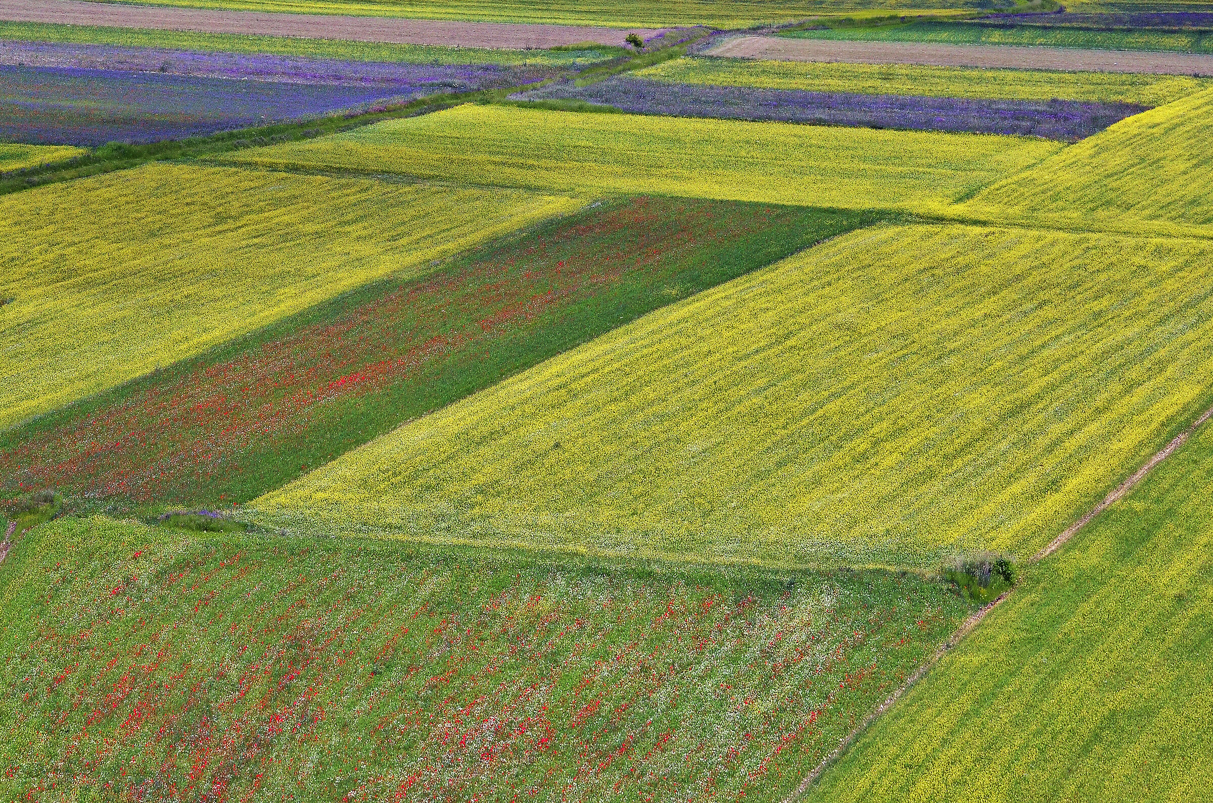 i colori di Castelluccio #2