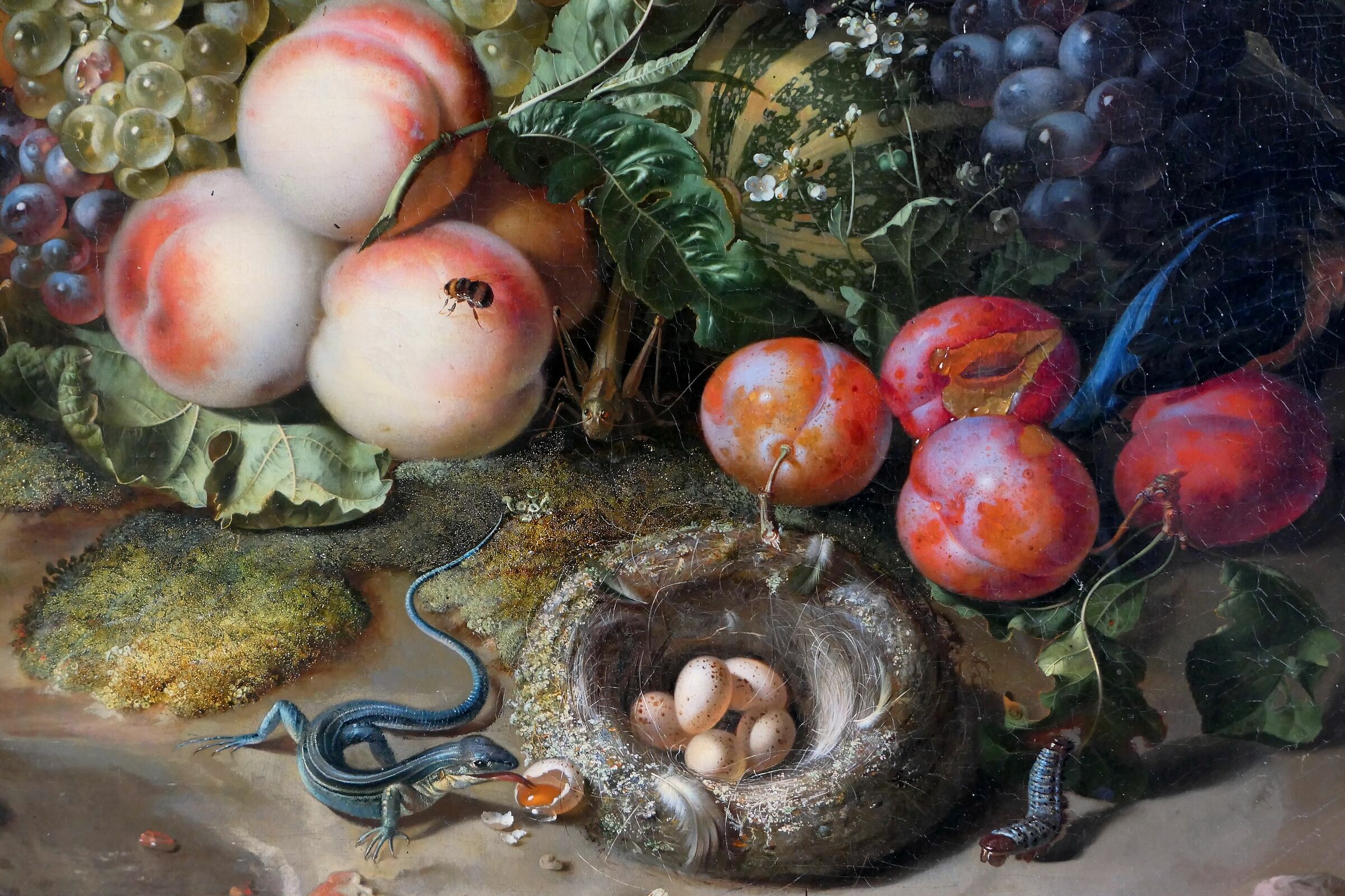 Rachel Ruysch "Frutta, Fiori e Insetti"
