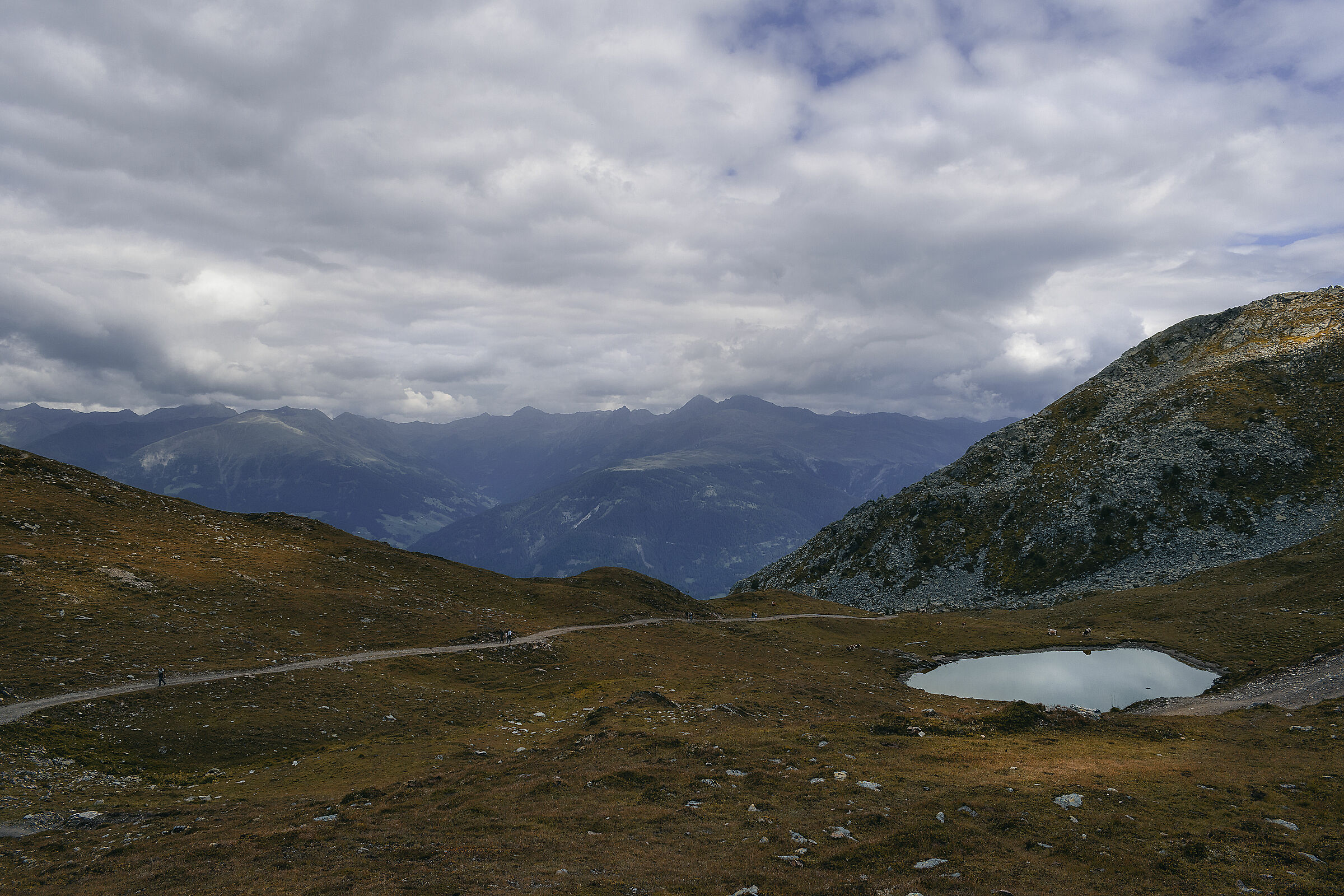 Sharpen Alps, New100012