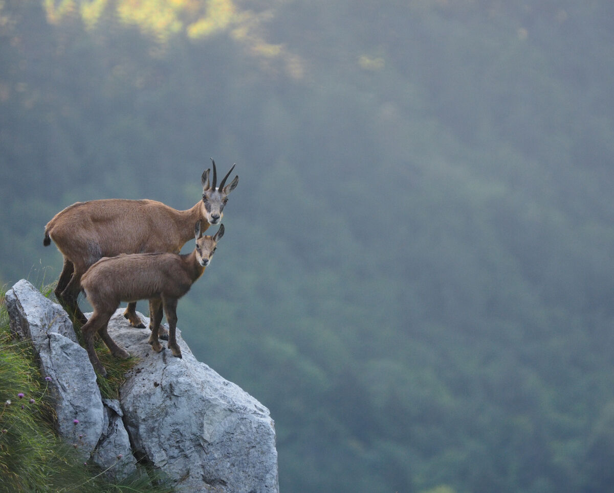 " Un sorriso please!! "