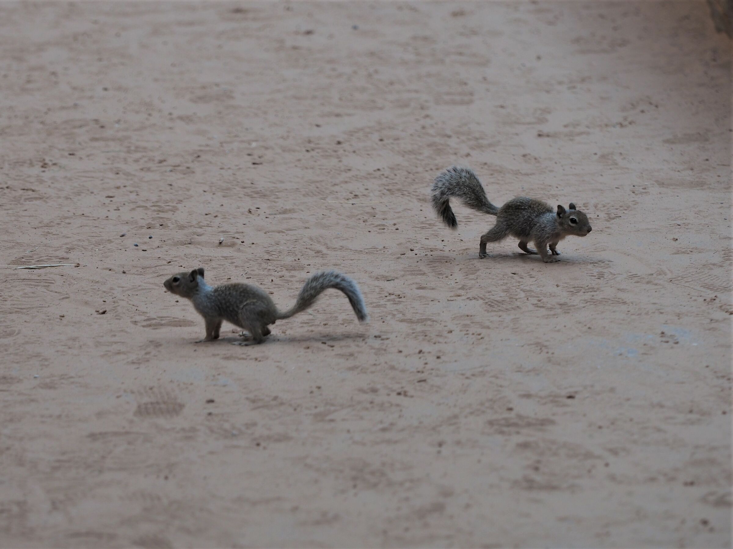 and here our paths are divided...