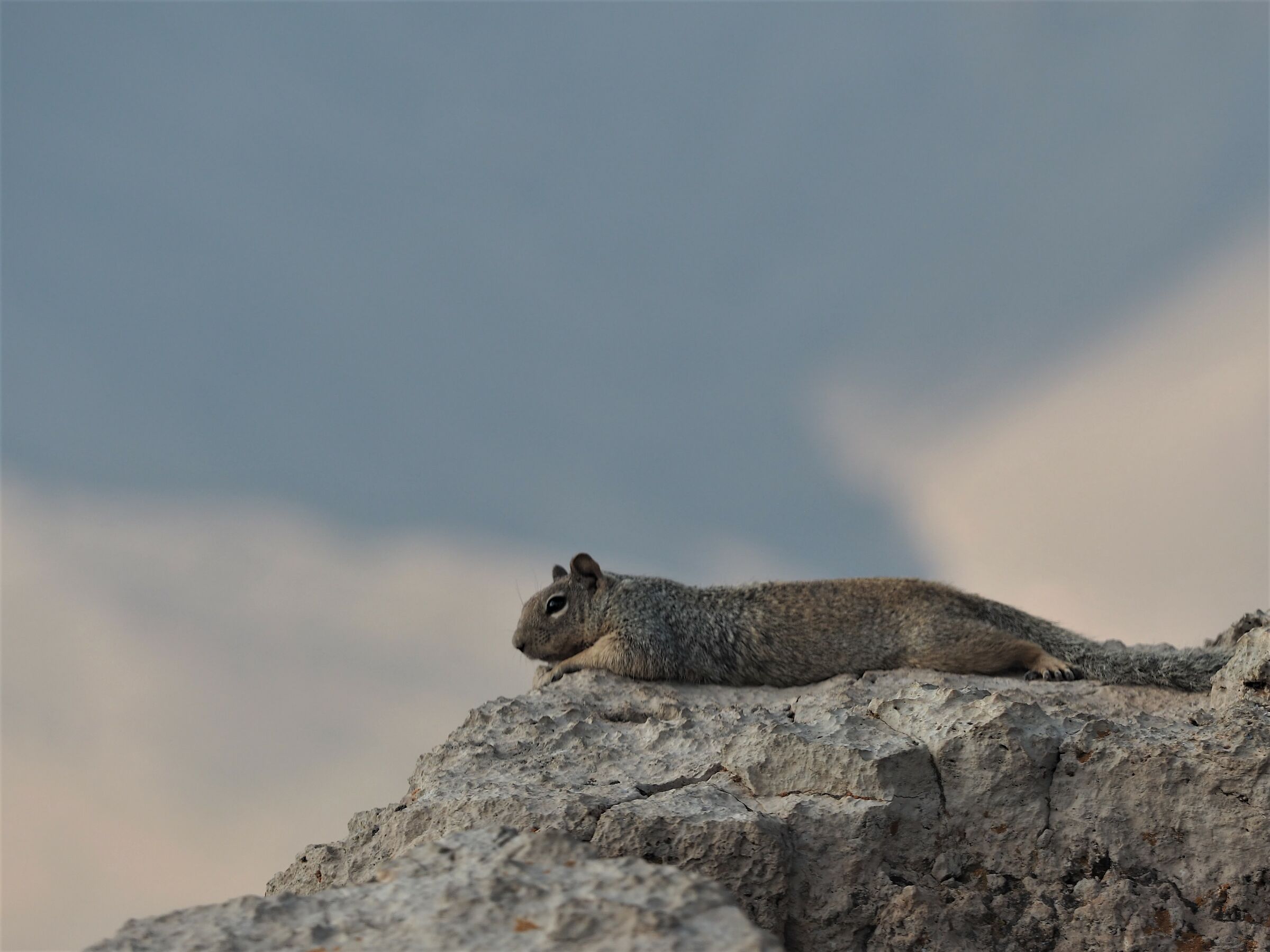 Relaxation.... terrace with a view