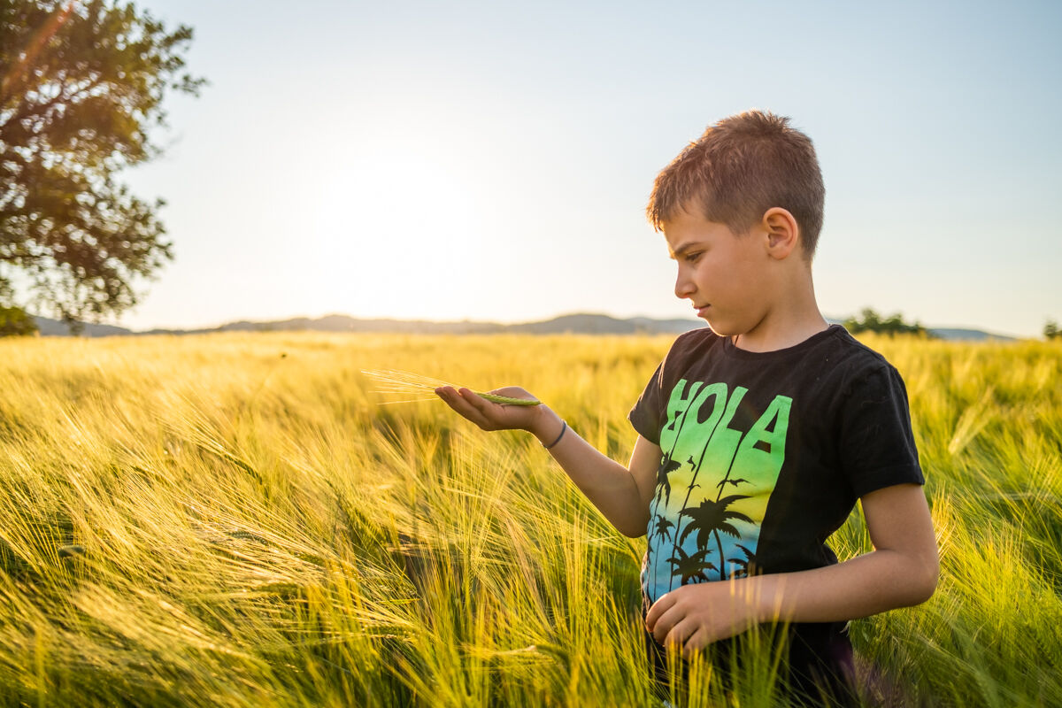 summer grain 2020
