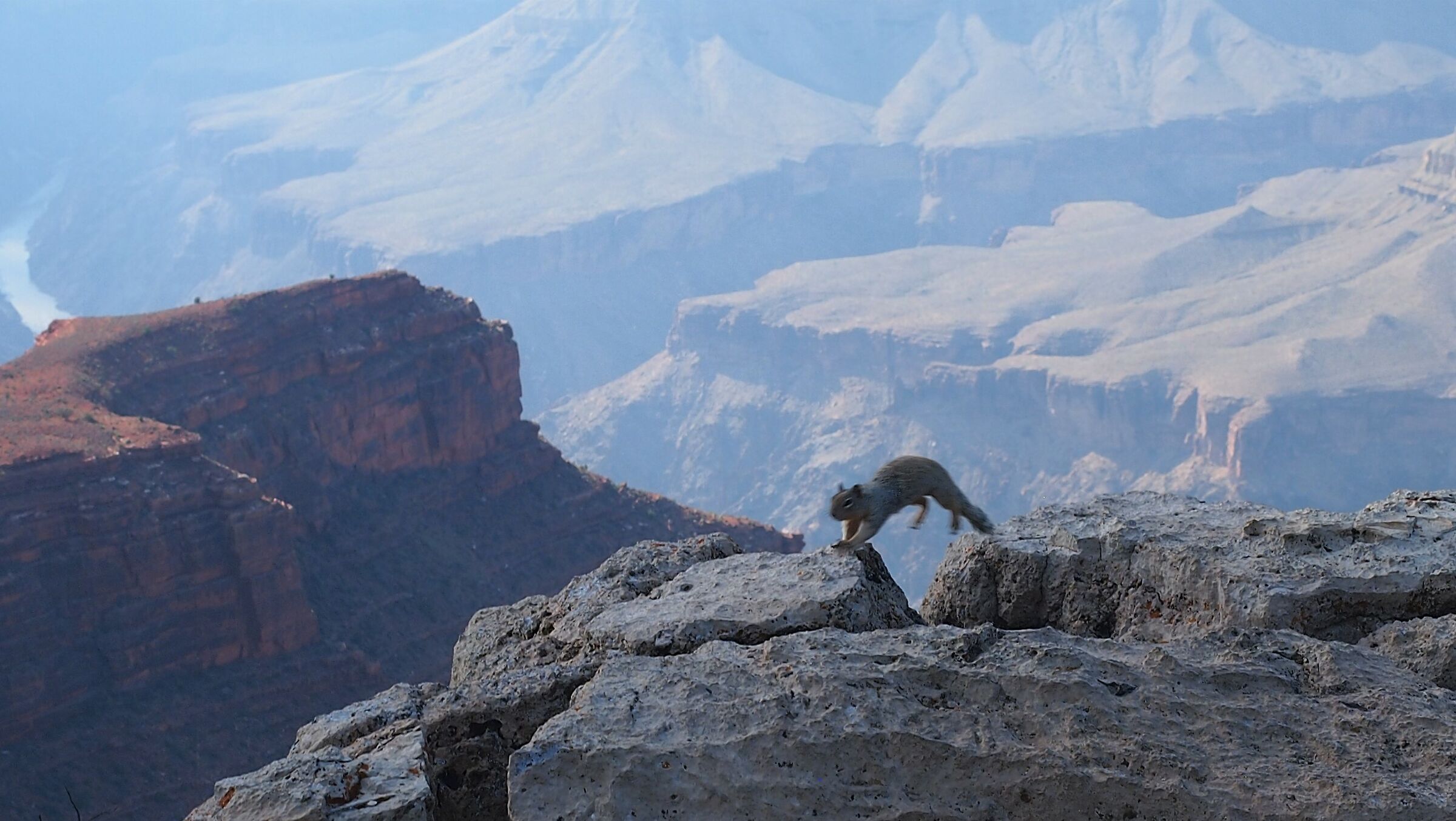 Jumping the Grand Canyon ...