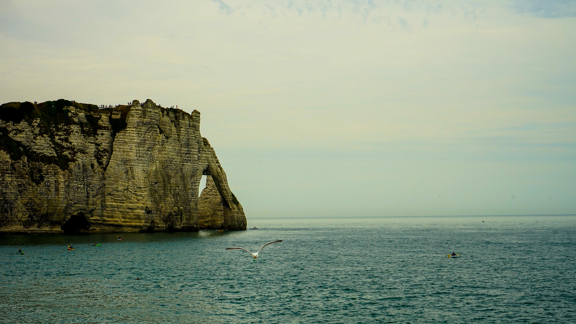 Falaise d'Aval - Étretat
