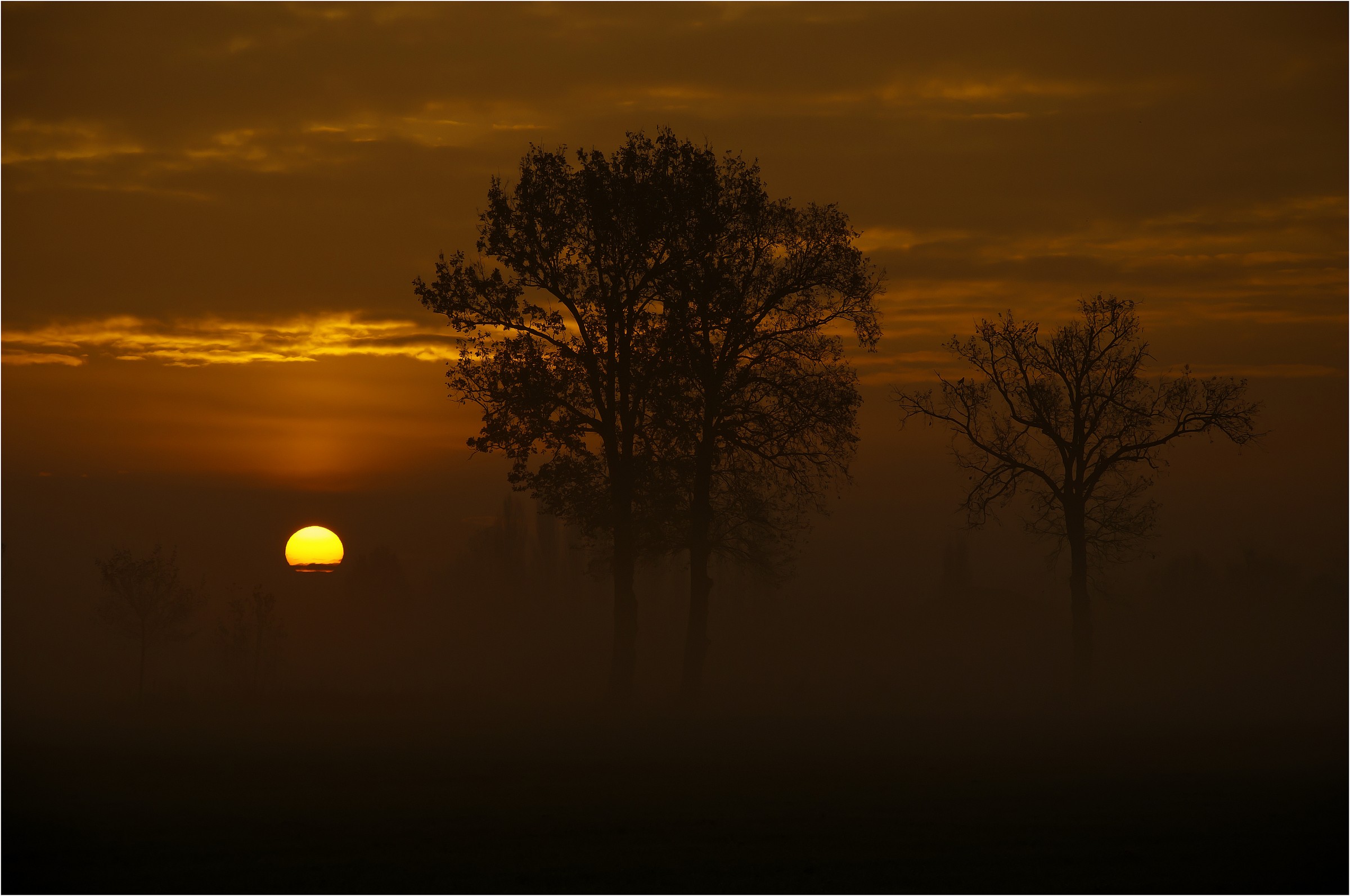 Tramonto tra le nebbie