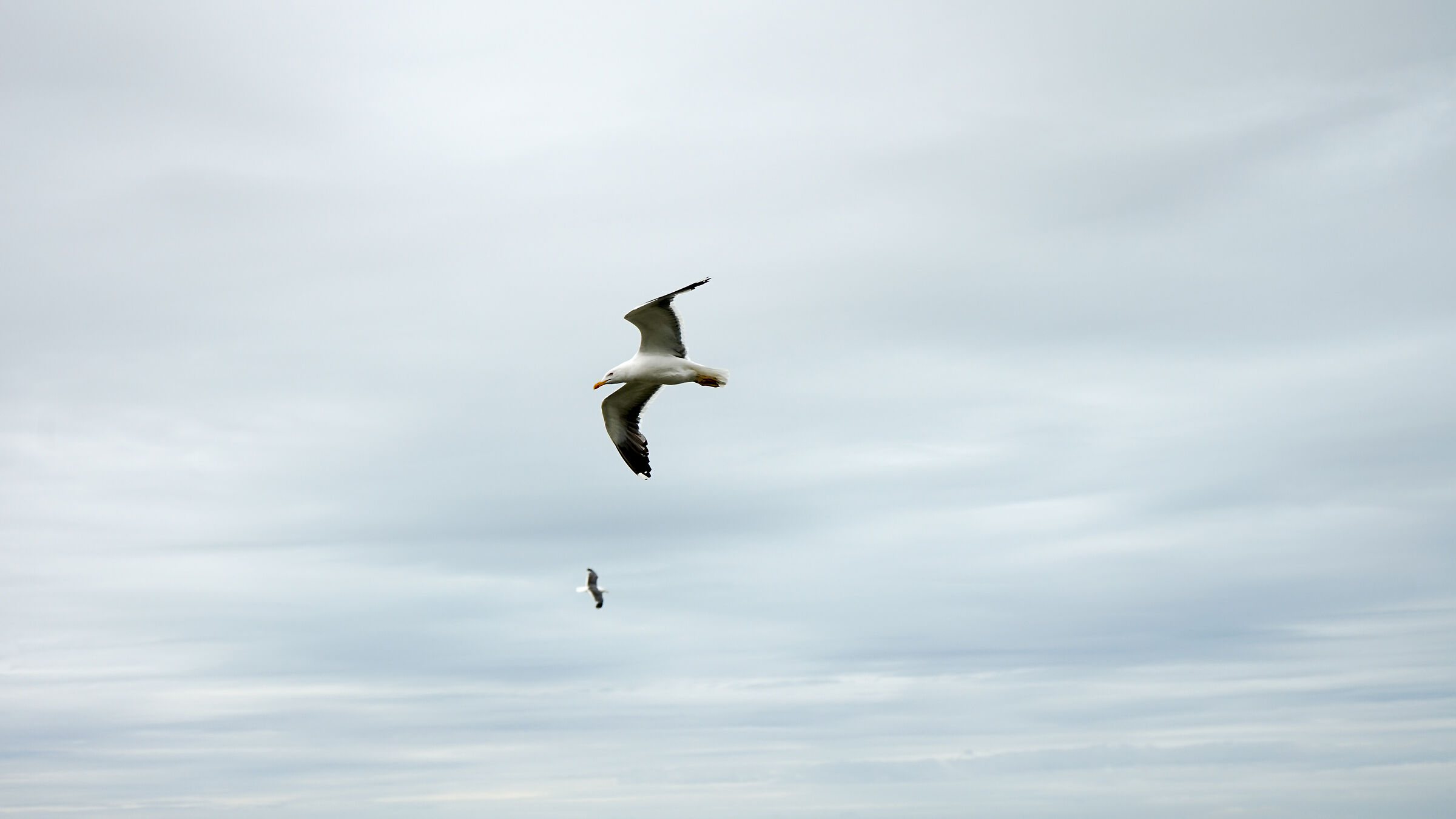 Dall'alto a Mont-Saint-Michel
