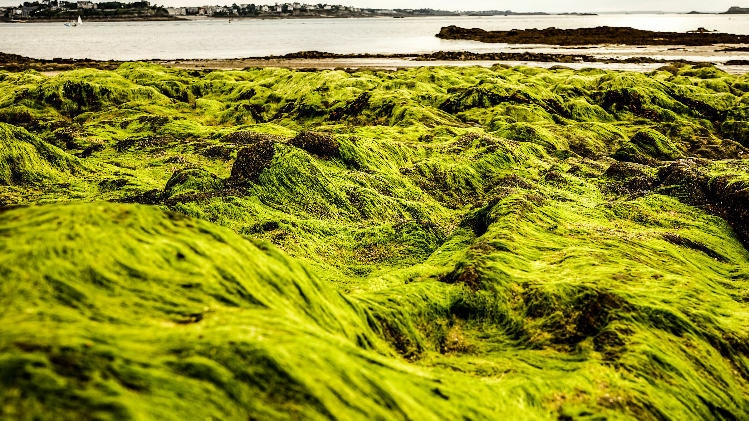 Le verdi onde a Saint-Malo