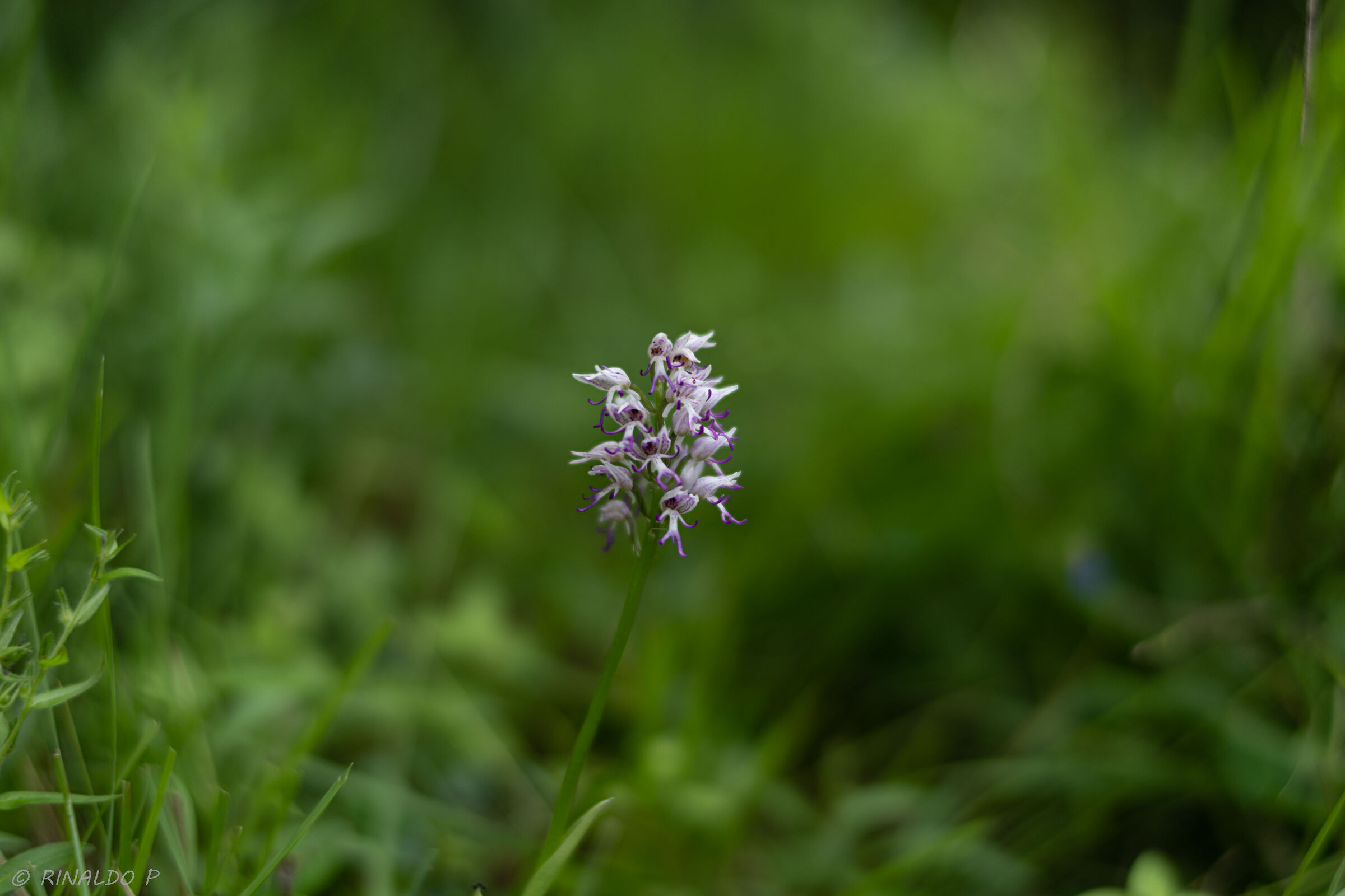 all of a sudden.... She....