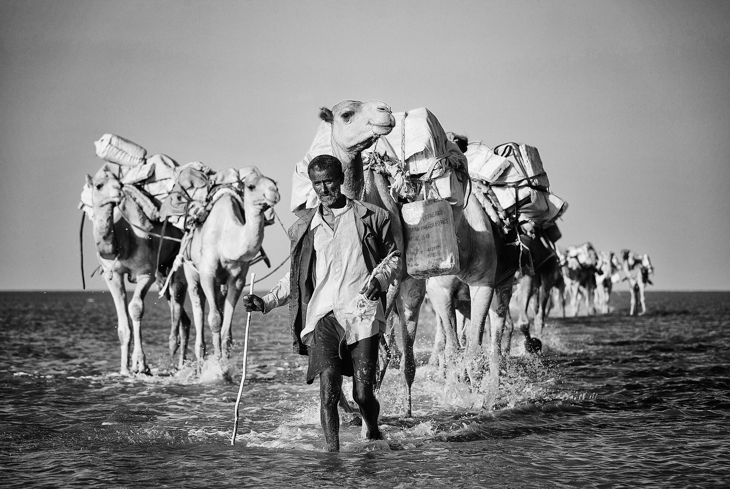 salt transport to Ahmed Ela - Ethiopia
