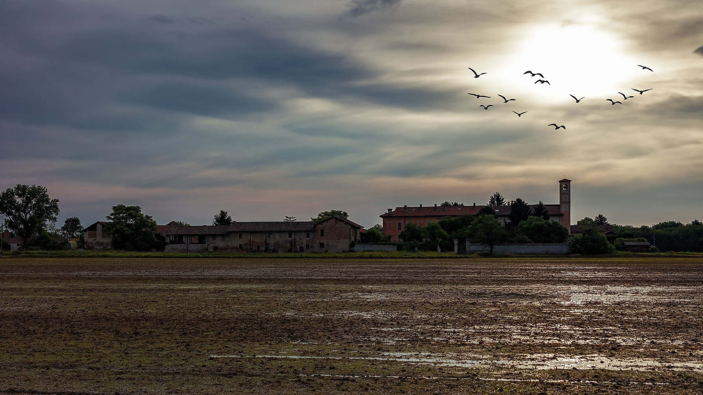 La gioia è come il volo