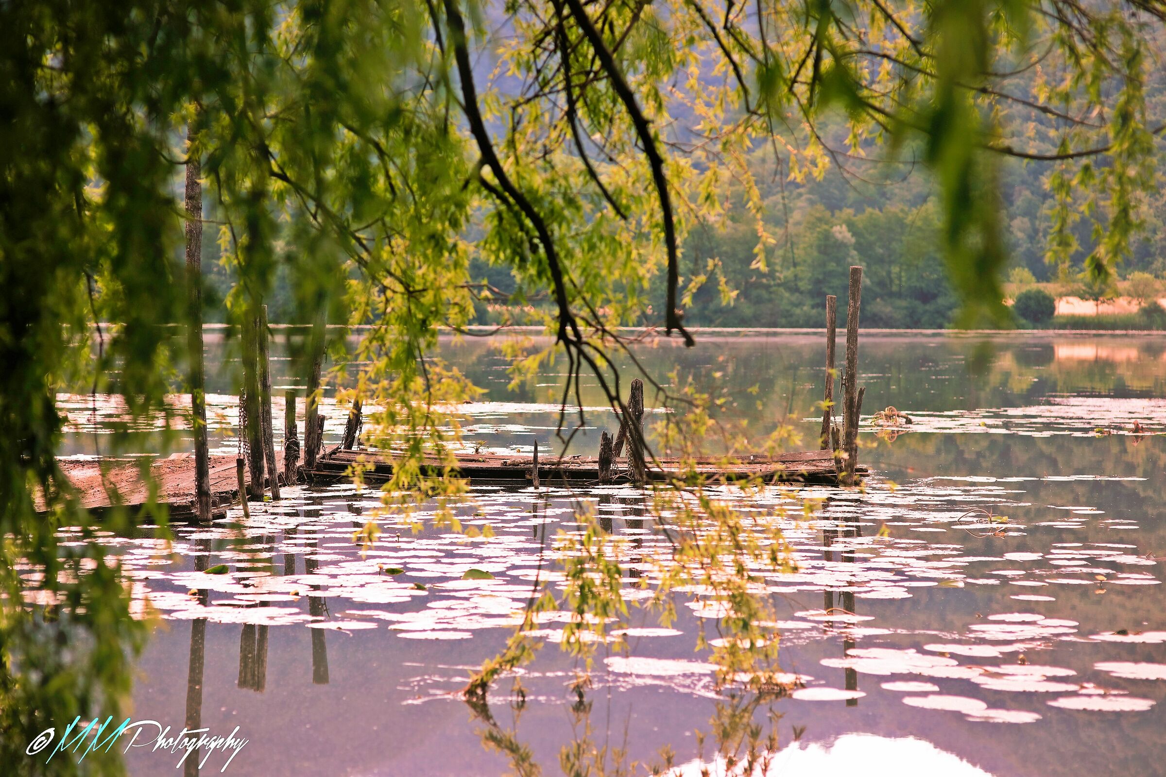 The Pontile