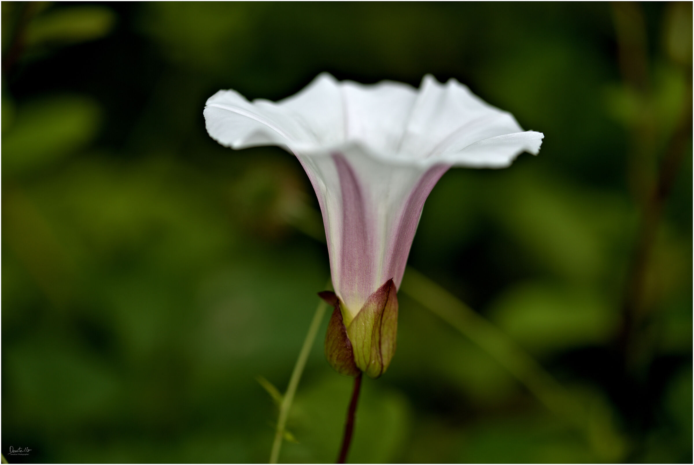 Untitled Photo