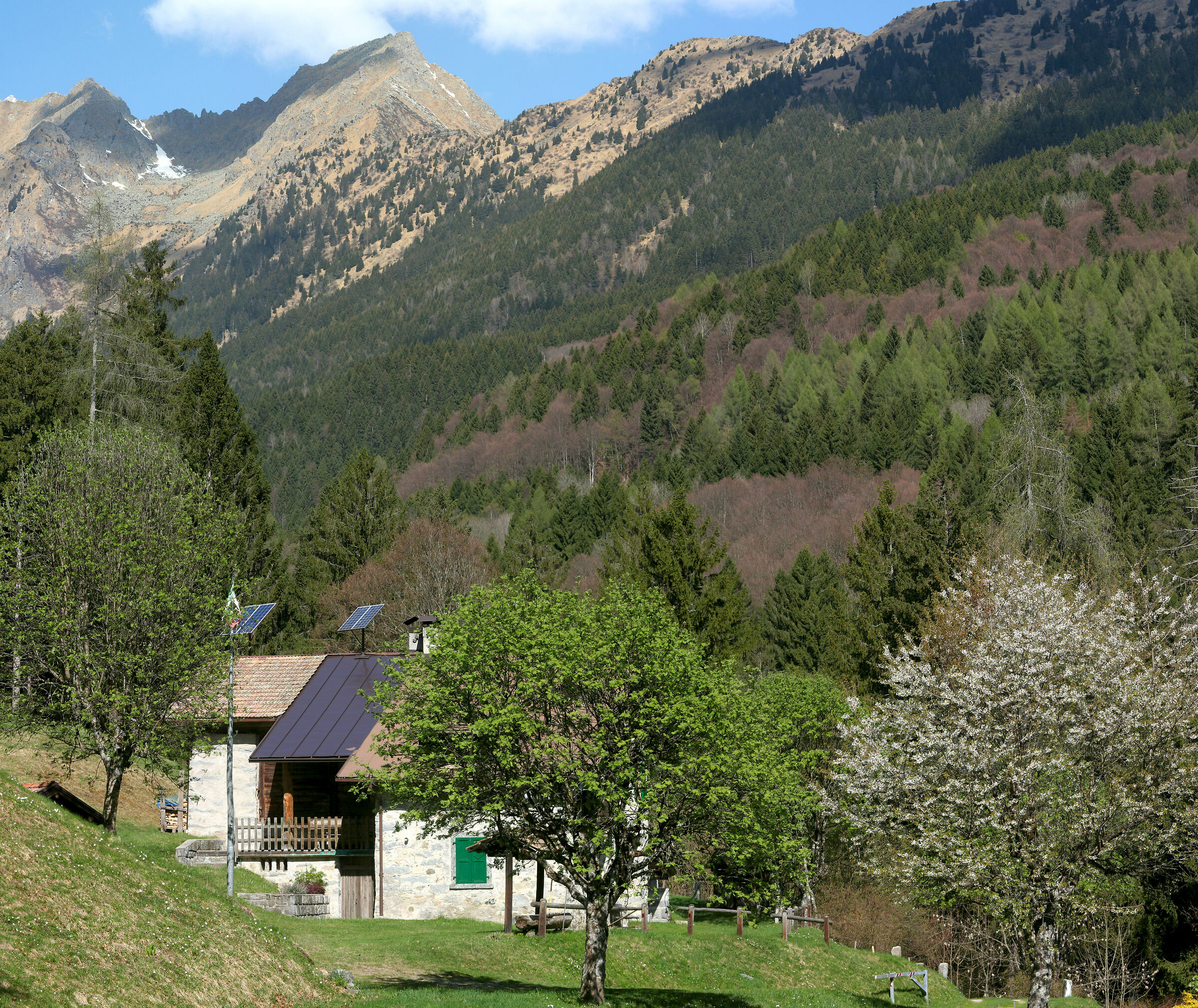 Val Valentine (Tn) photo collage