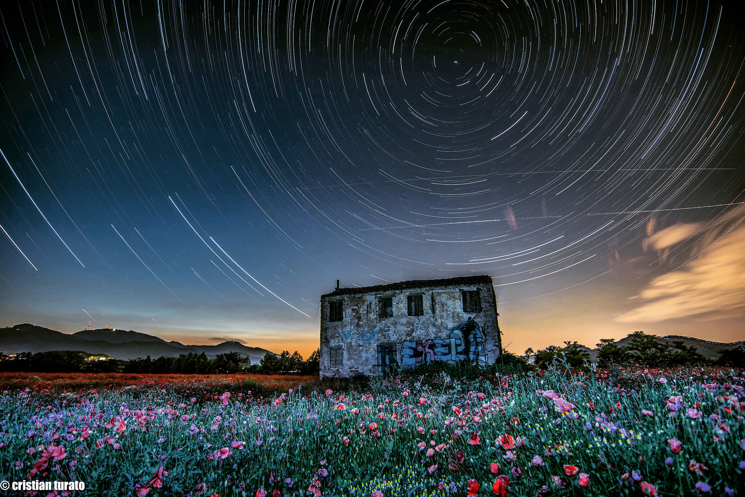 Startrails & Flowers