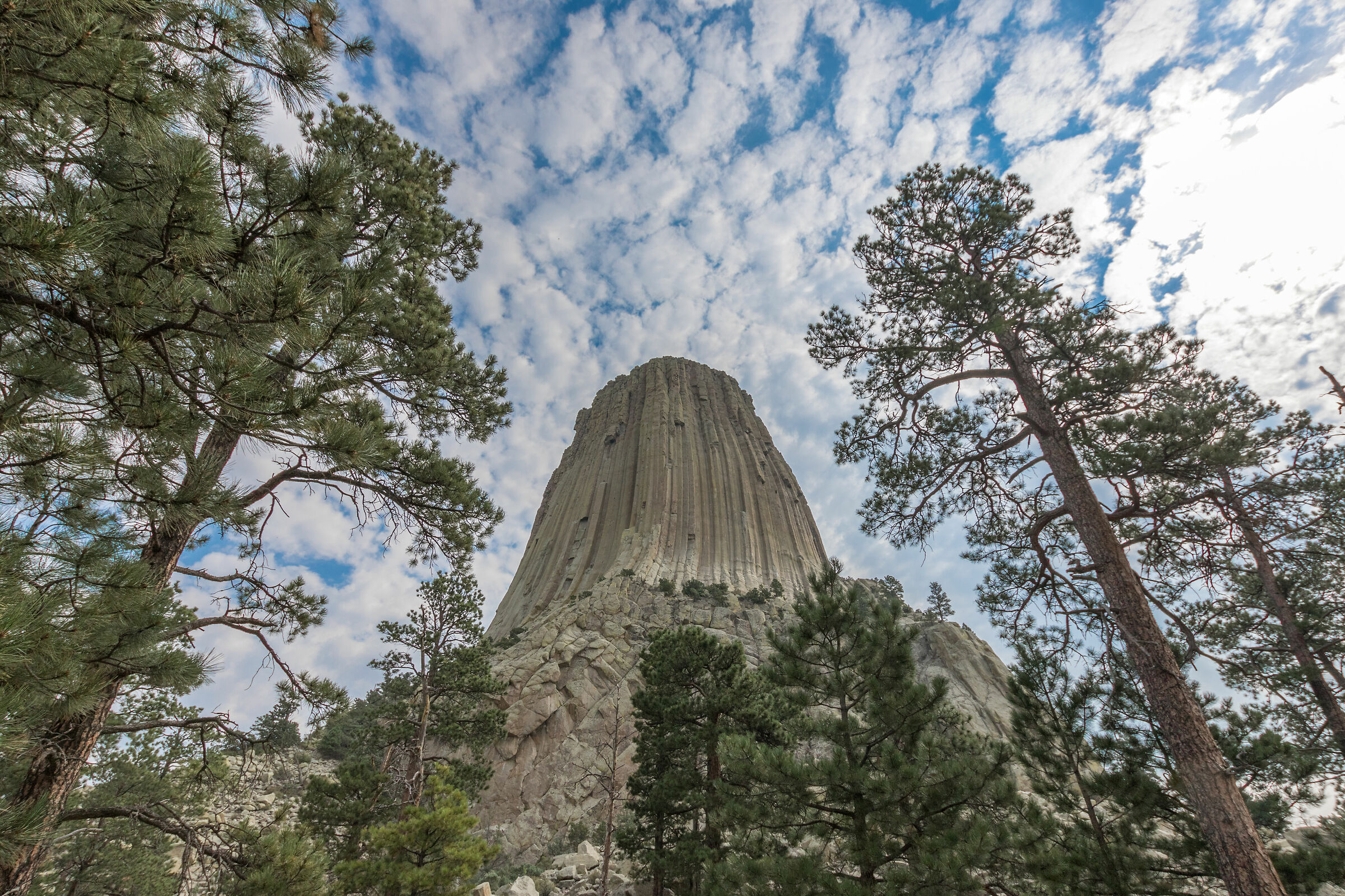 Devil's Tower (wy)