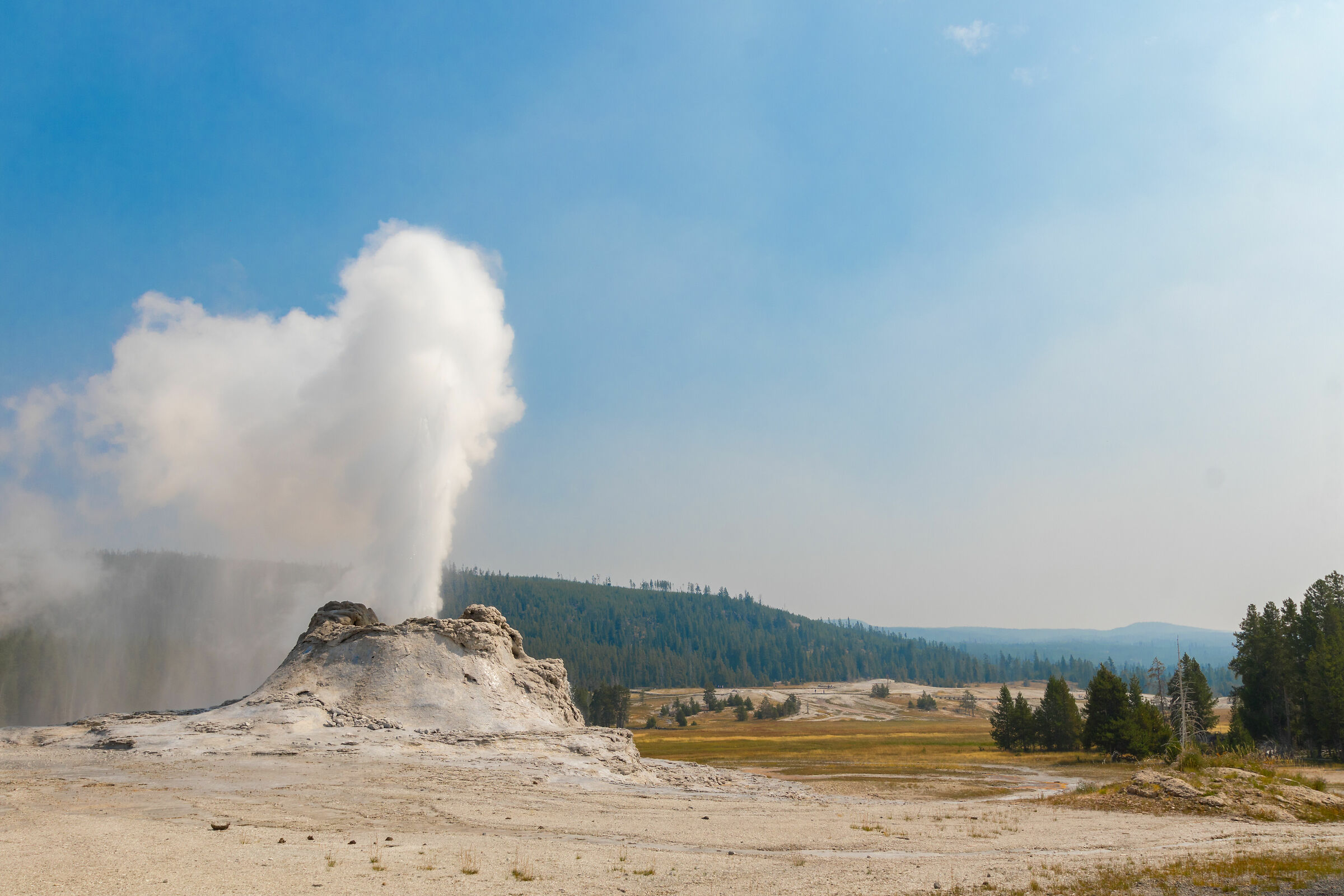 Castle Geyser - Yellowstone (wy)