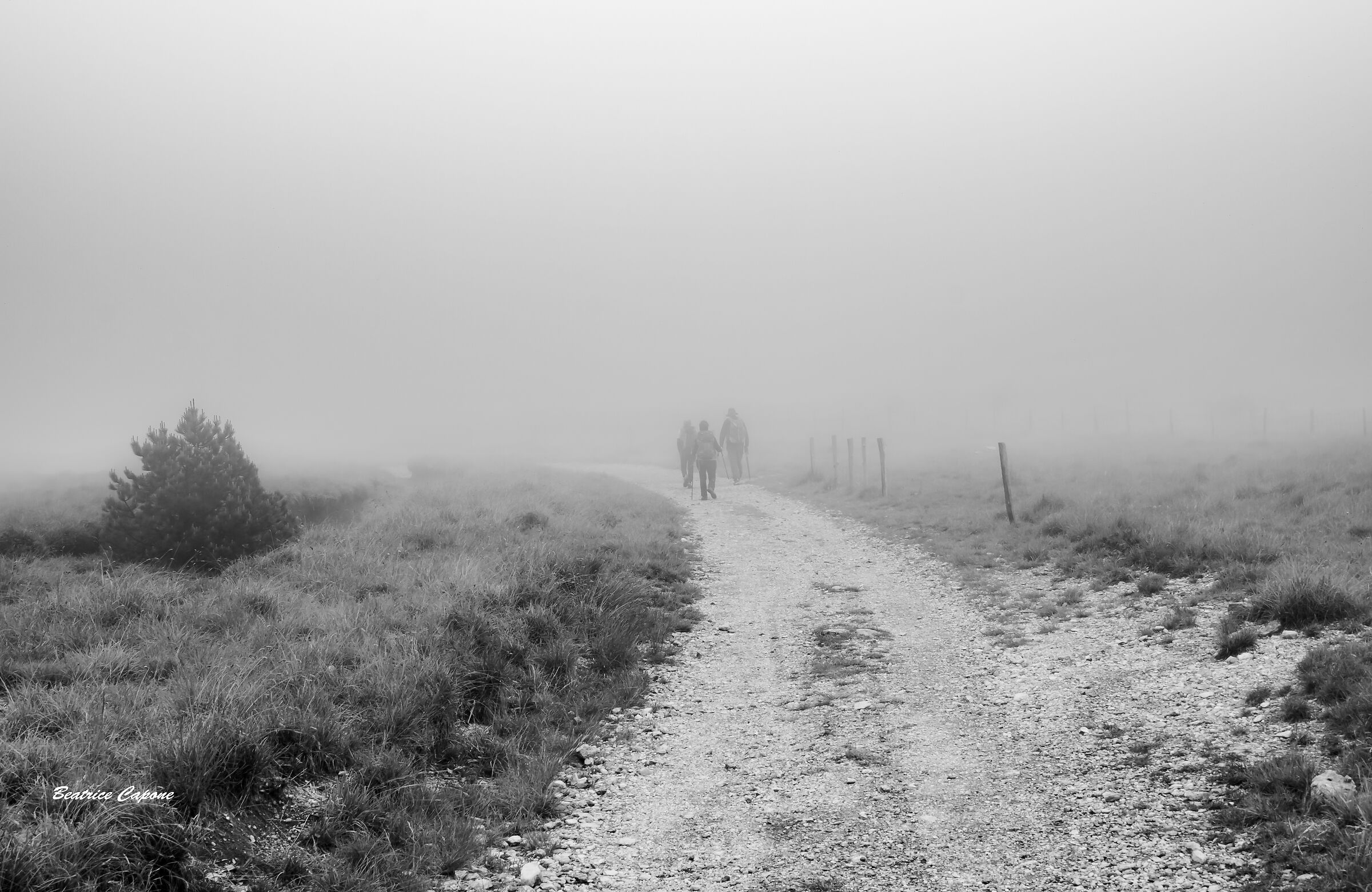 Wrapped in the mist and sweetness of solitude