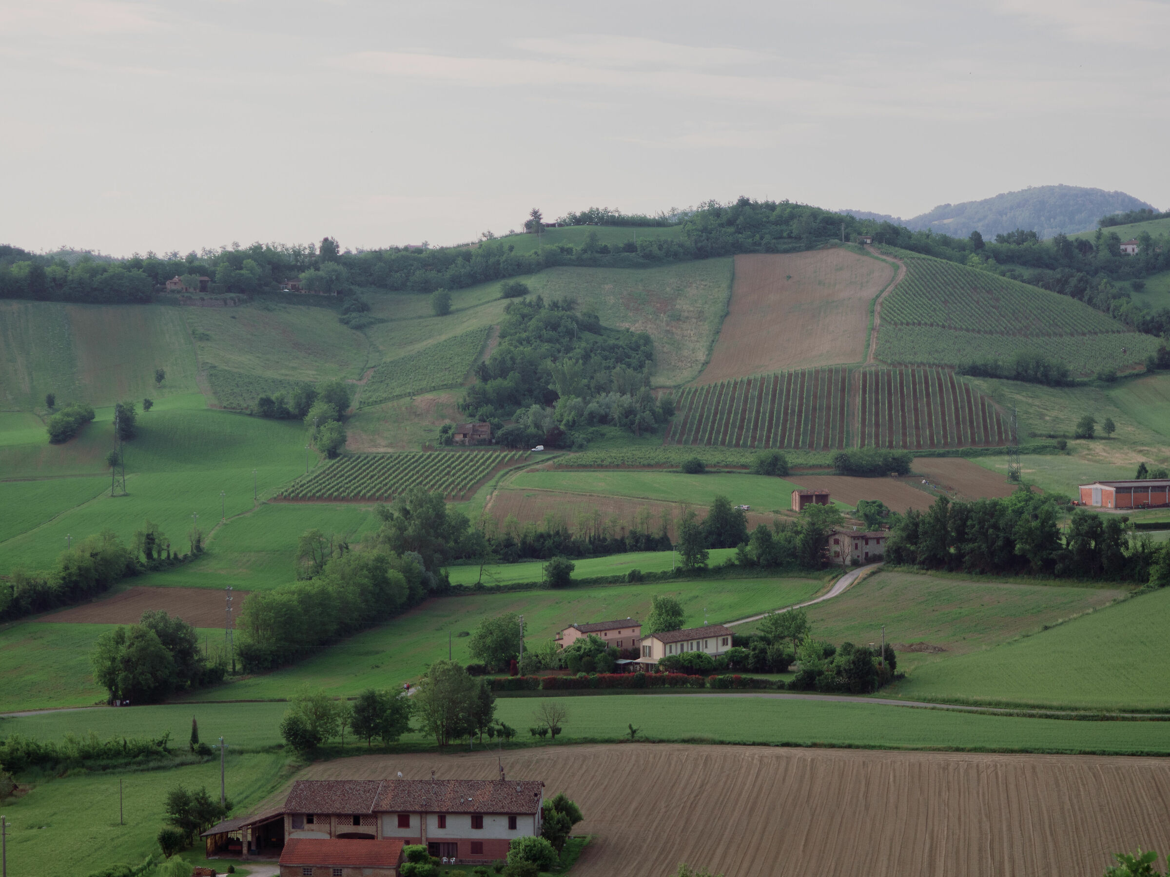 Paesaggio piacentino