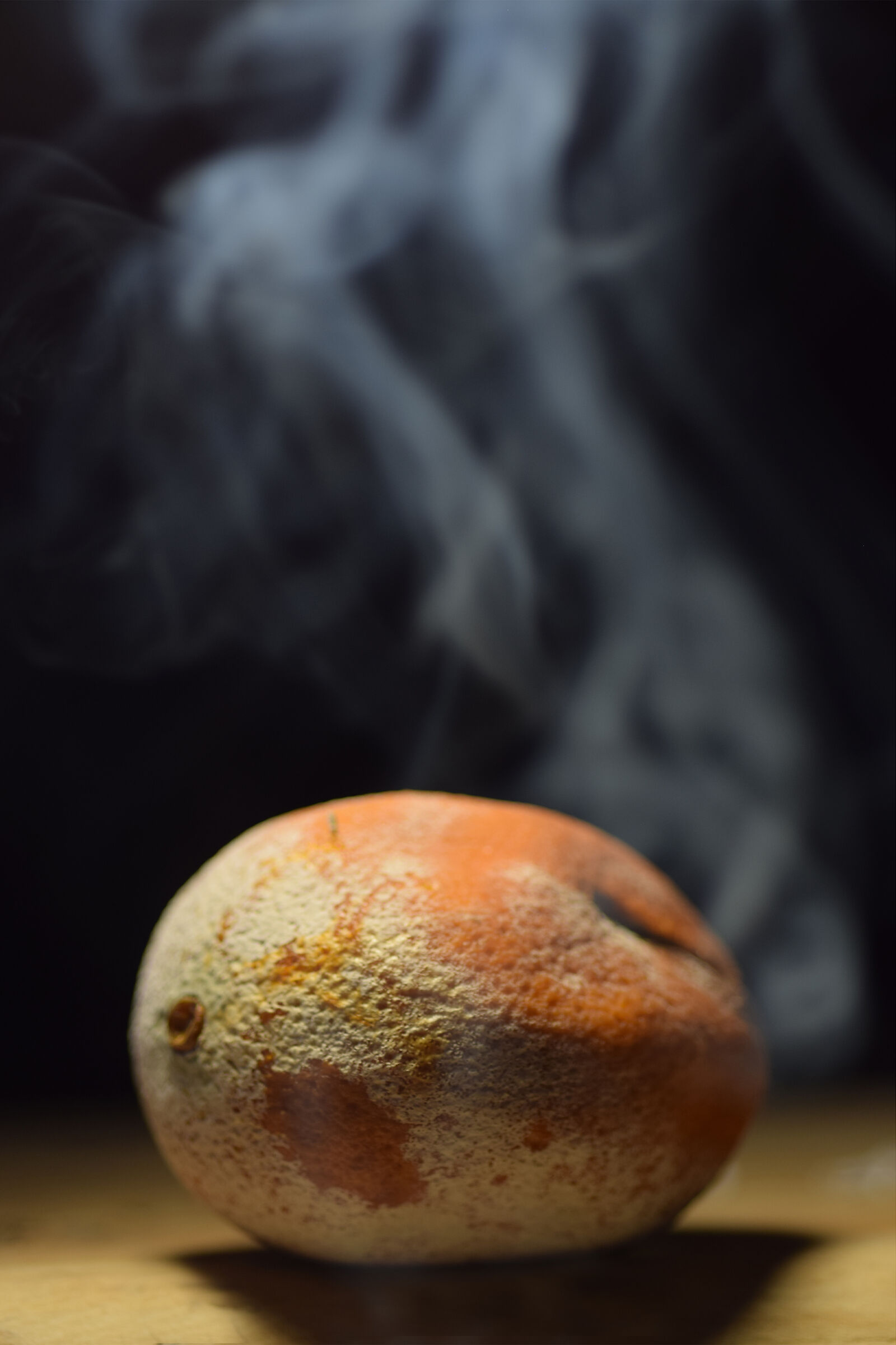 muffa e fermentazione