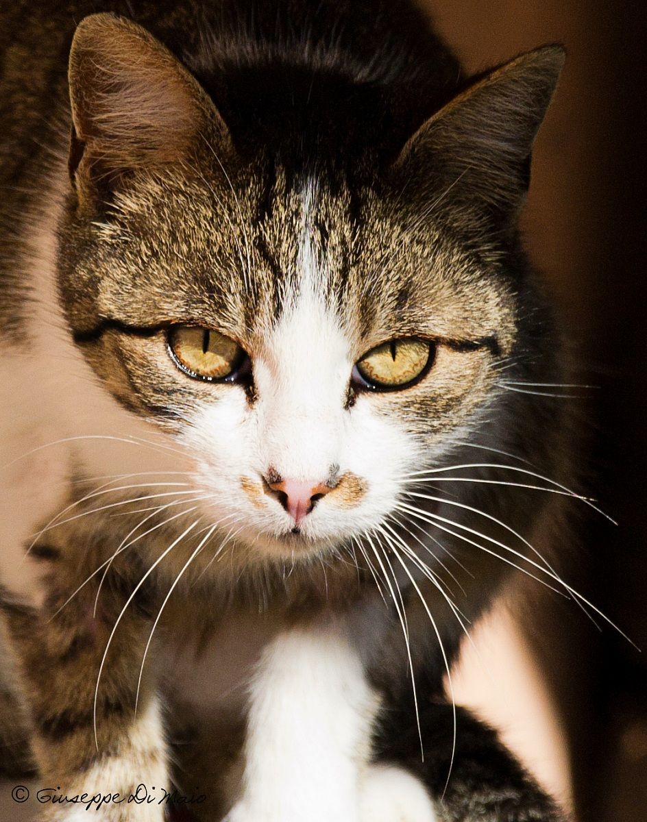 What you have to watch ..!